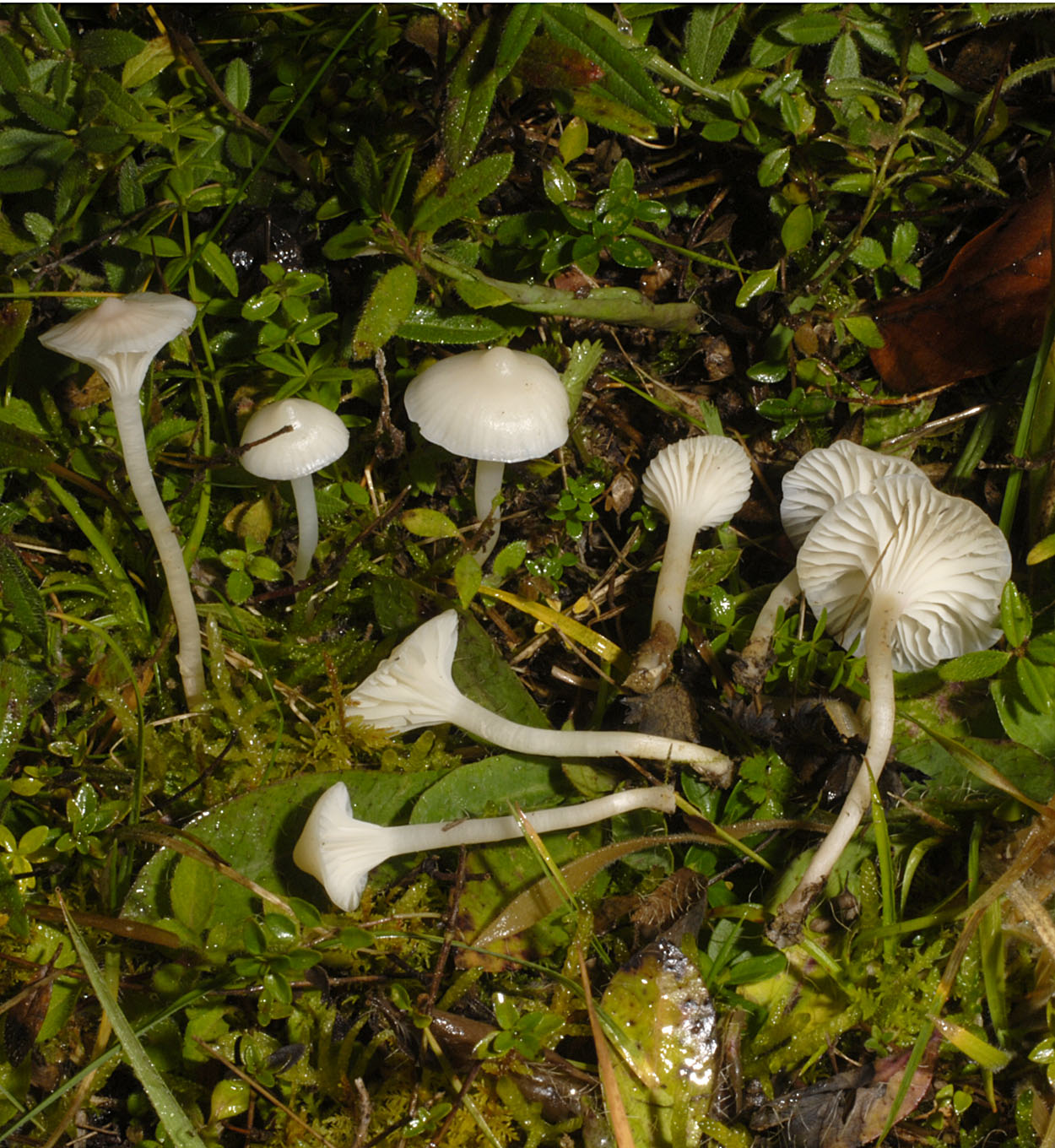 01052013083816 159 art 170 6302 5 kopie