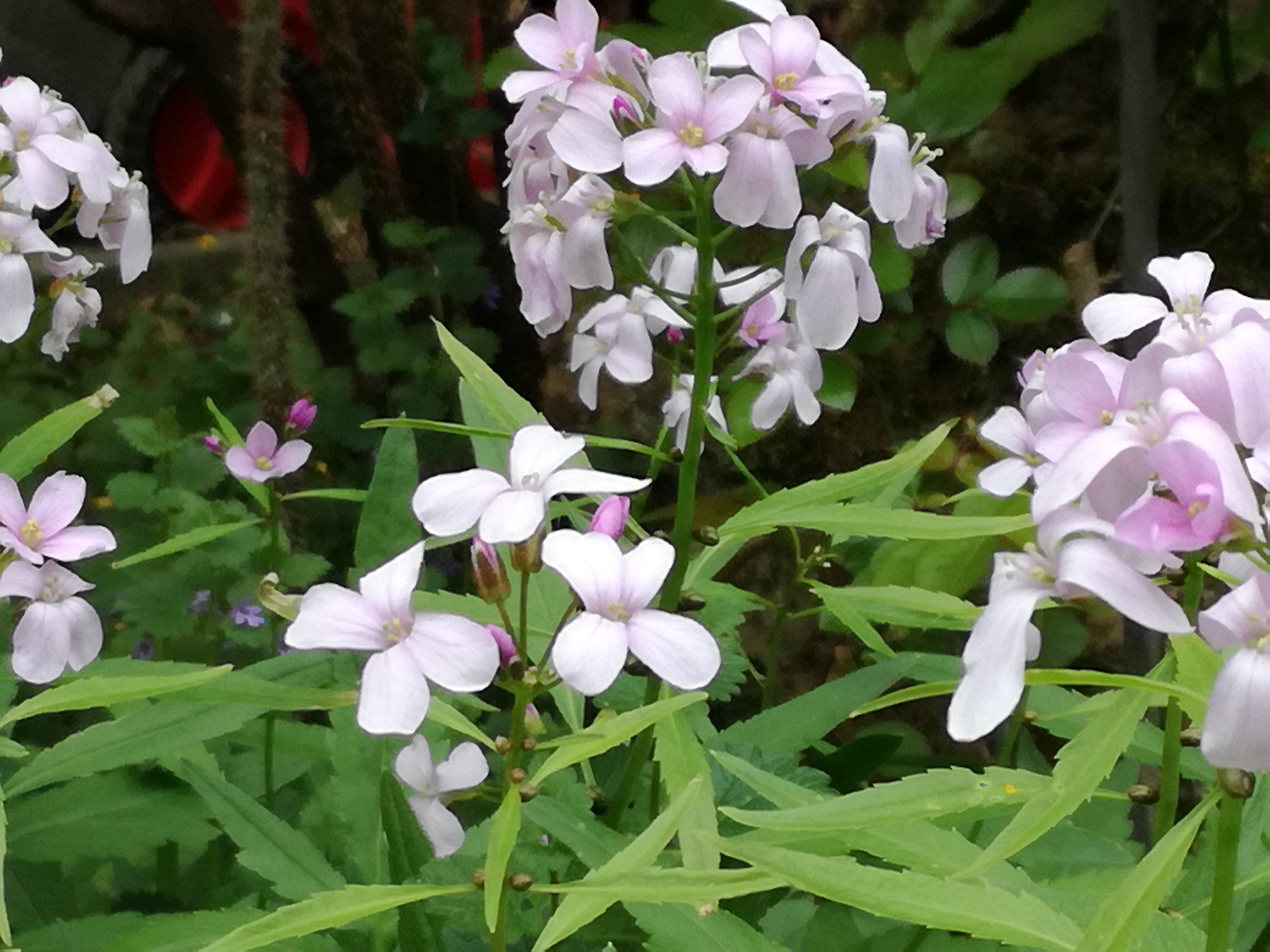 01062017052301 2930 art 1471 img 20170426 093353