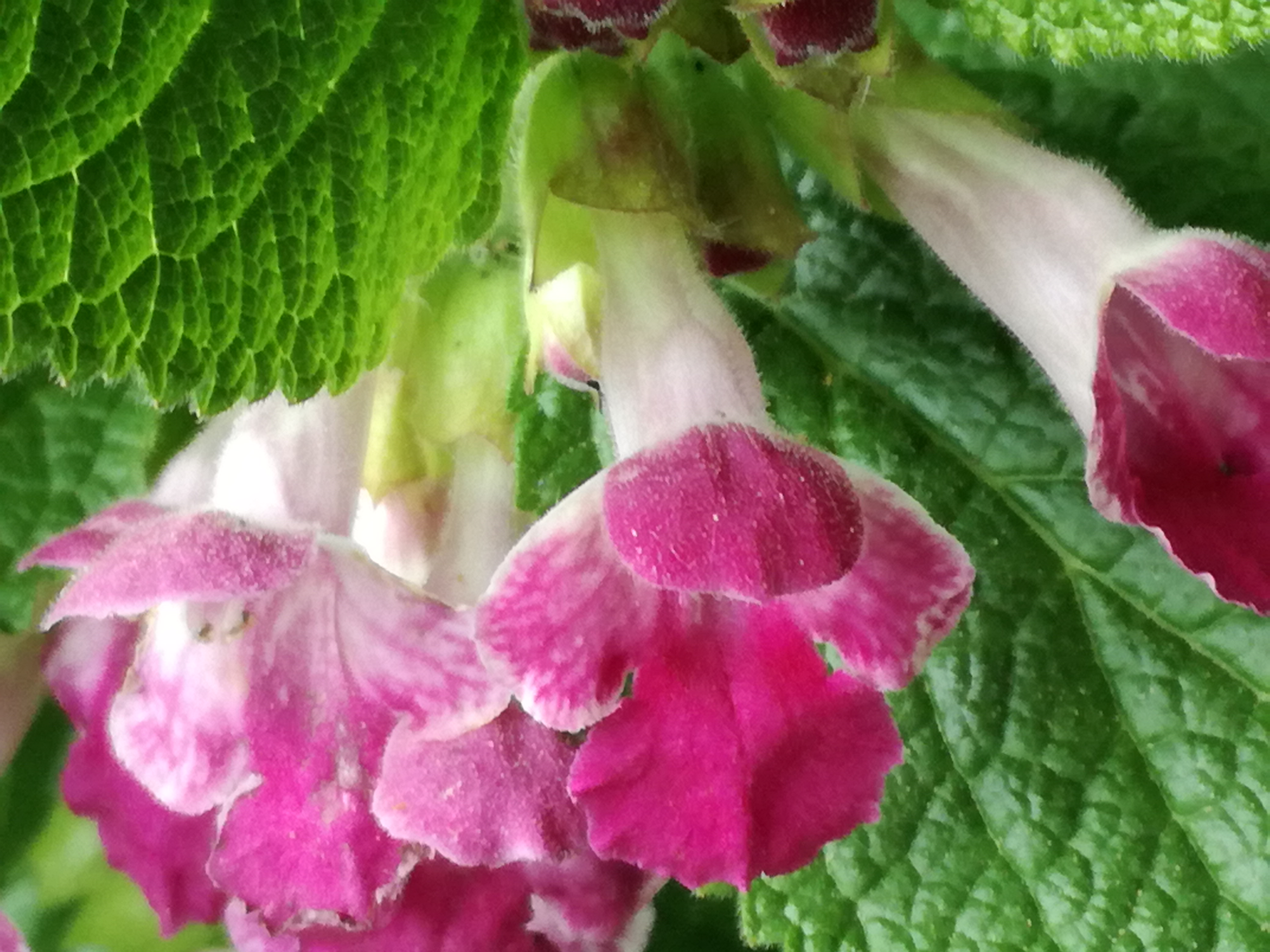 01062017052531 2931 art 574 img 20170426 144036