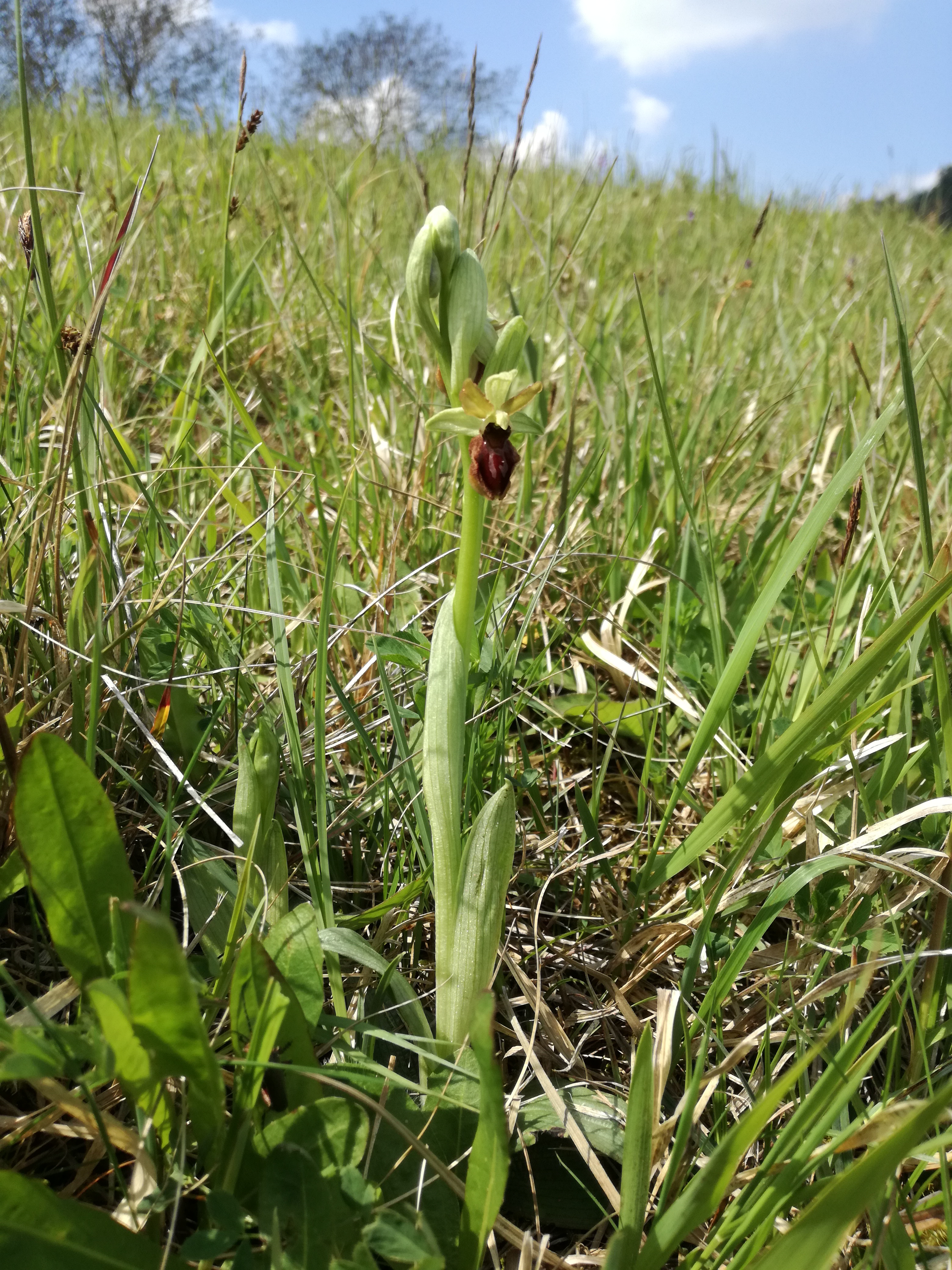 01062017062037 2936 art 1801 img 20170430 121554