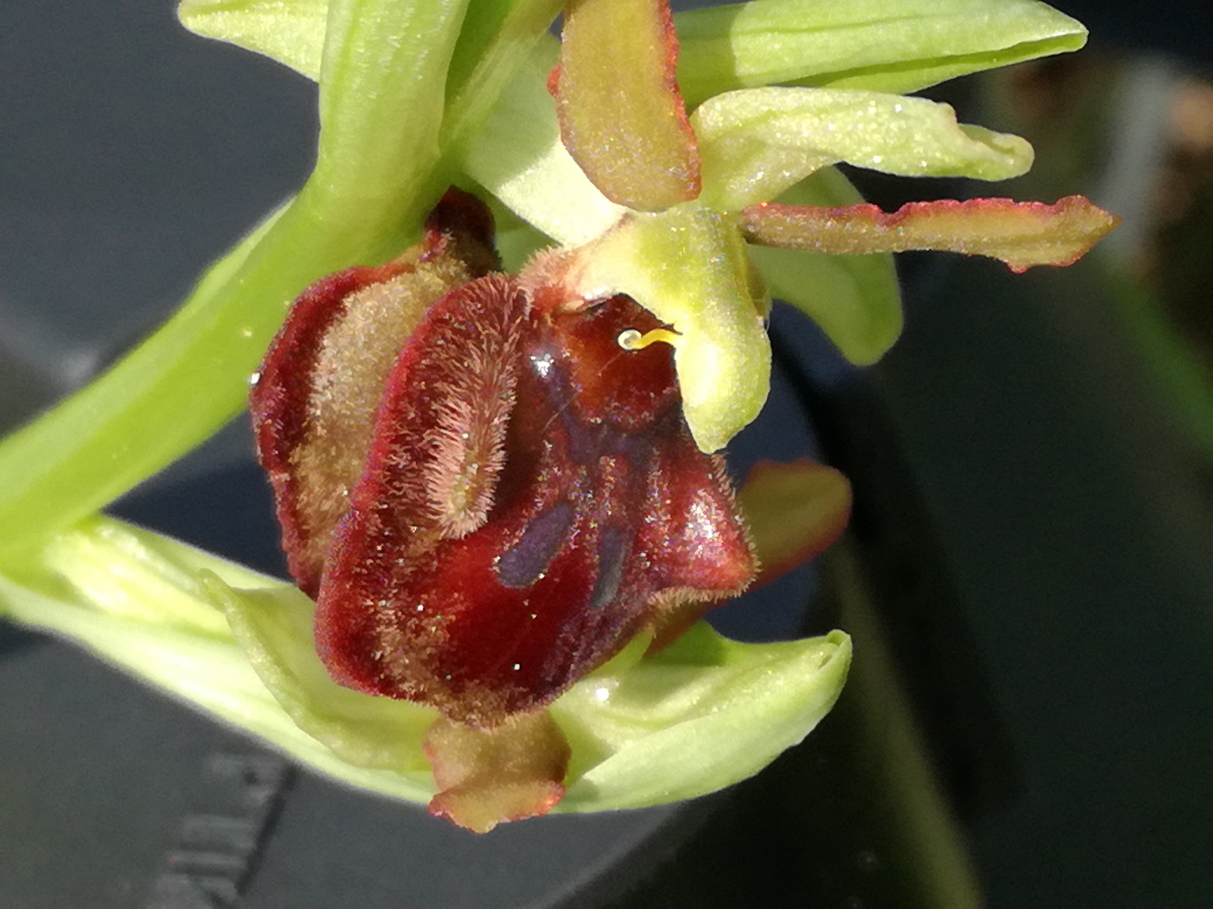 01062017062205 2937 art 1801 img 20170430 120755