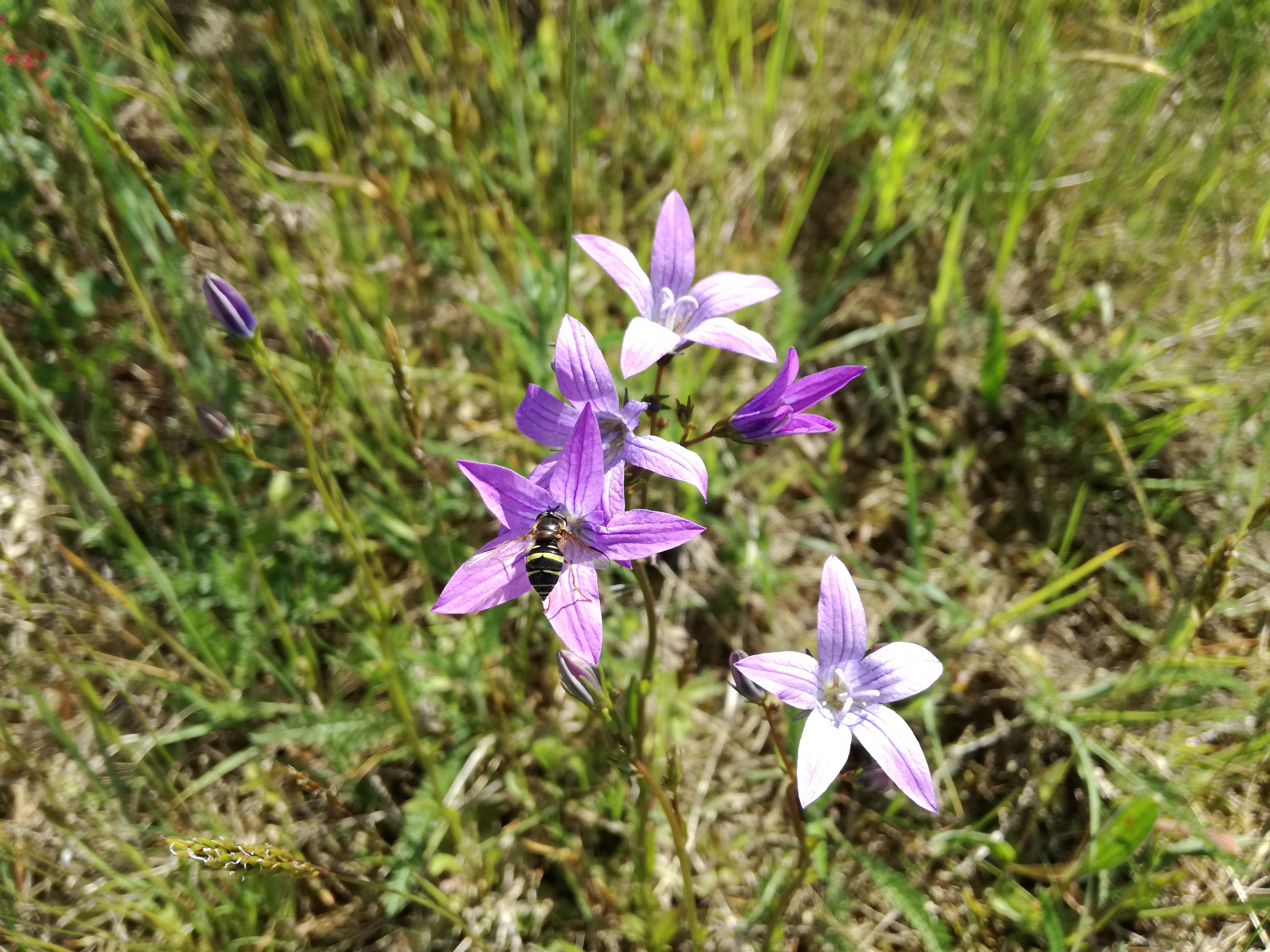 01062017064408 2941 art 503 img 20170502 104613