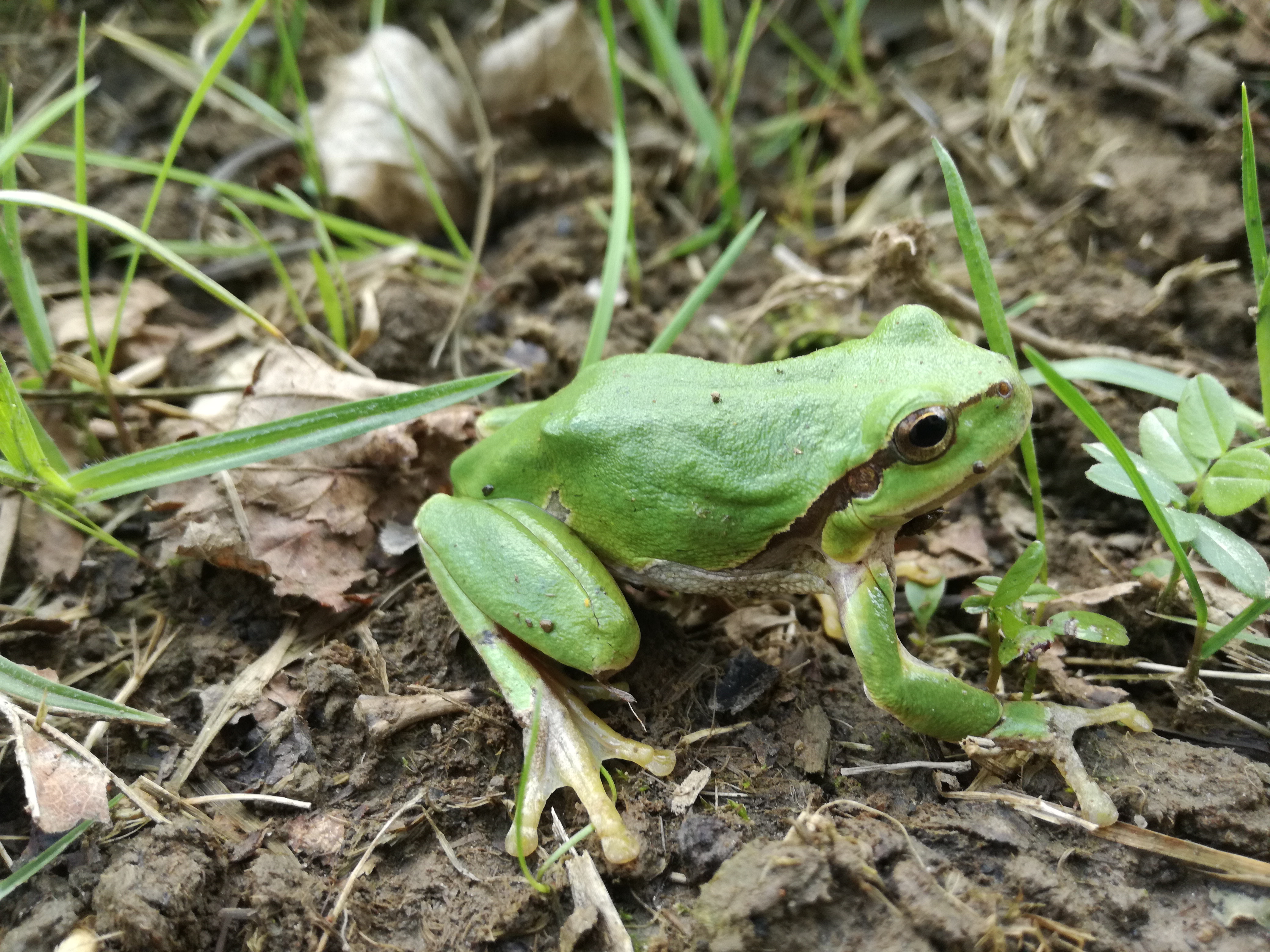 01062017065345 2942 art 1015 img 20170502 123349