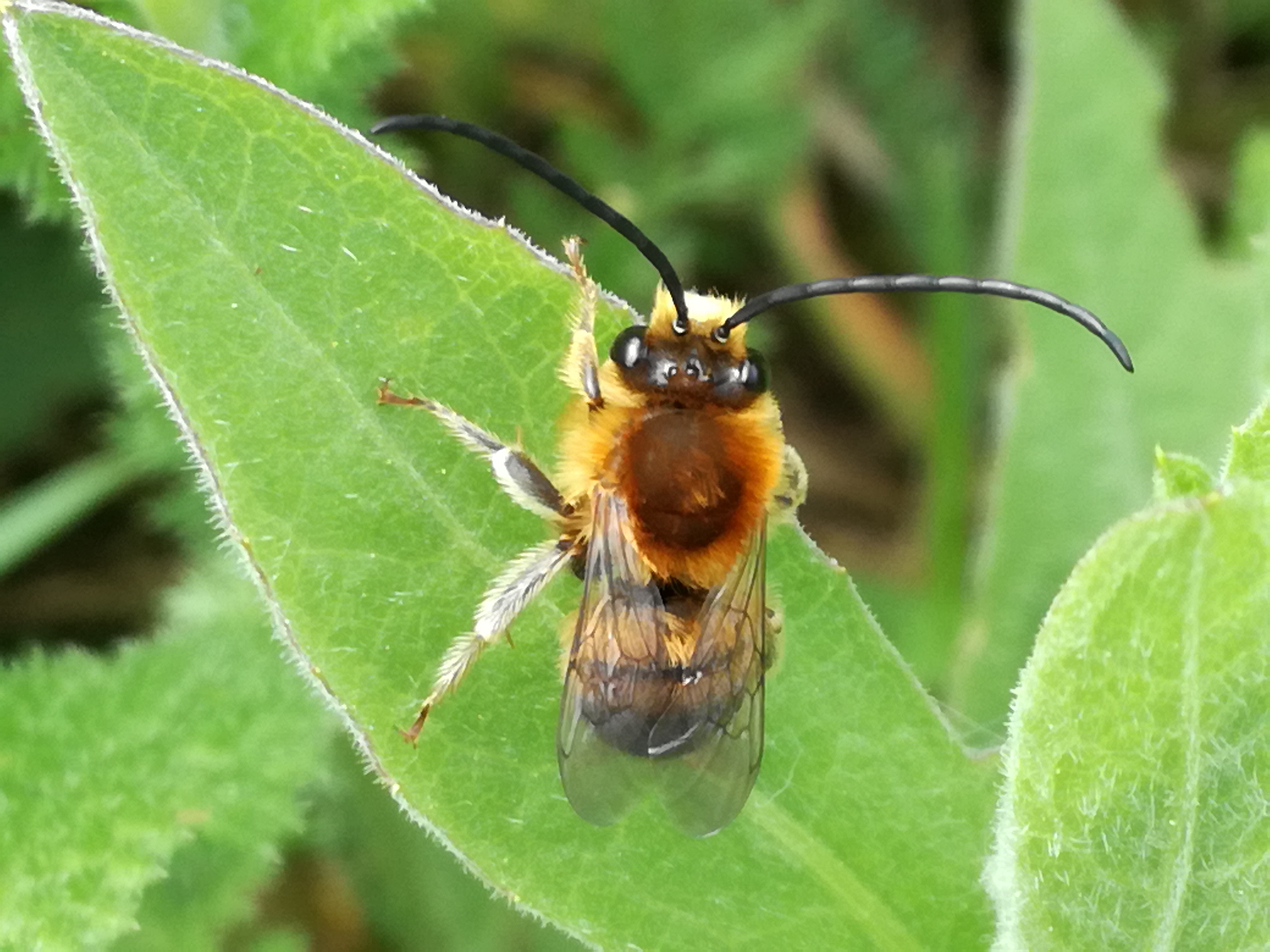 01062017075659 2949 art 1804 img 20170508 112325