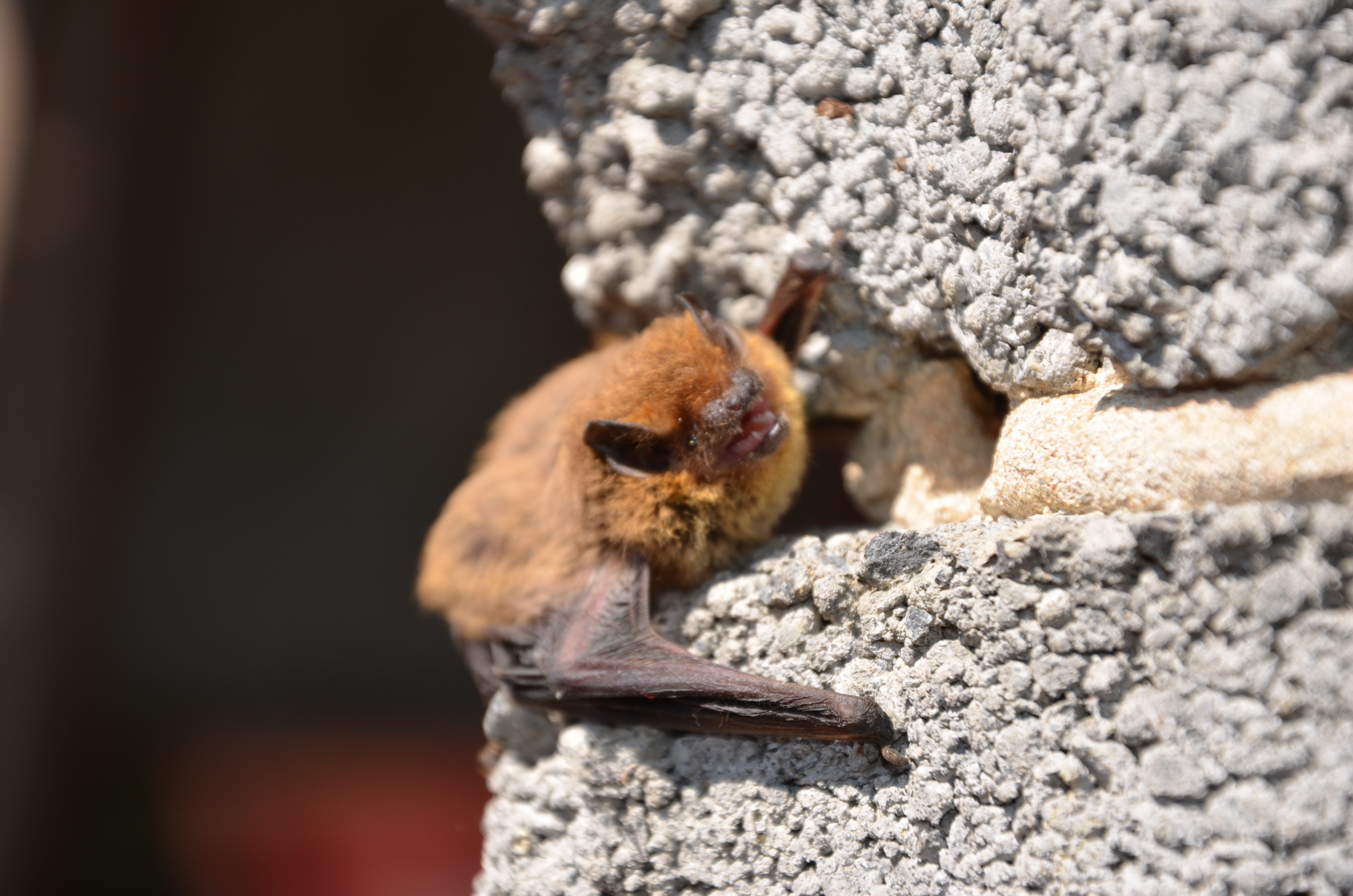 01072013202414 1073 art 584 dsc 6920