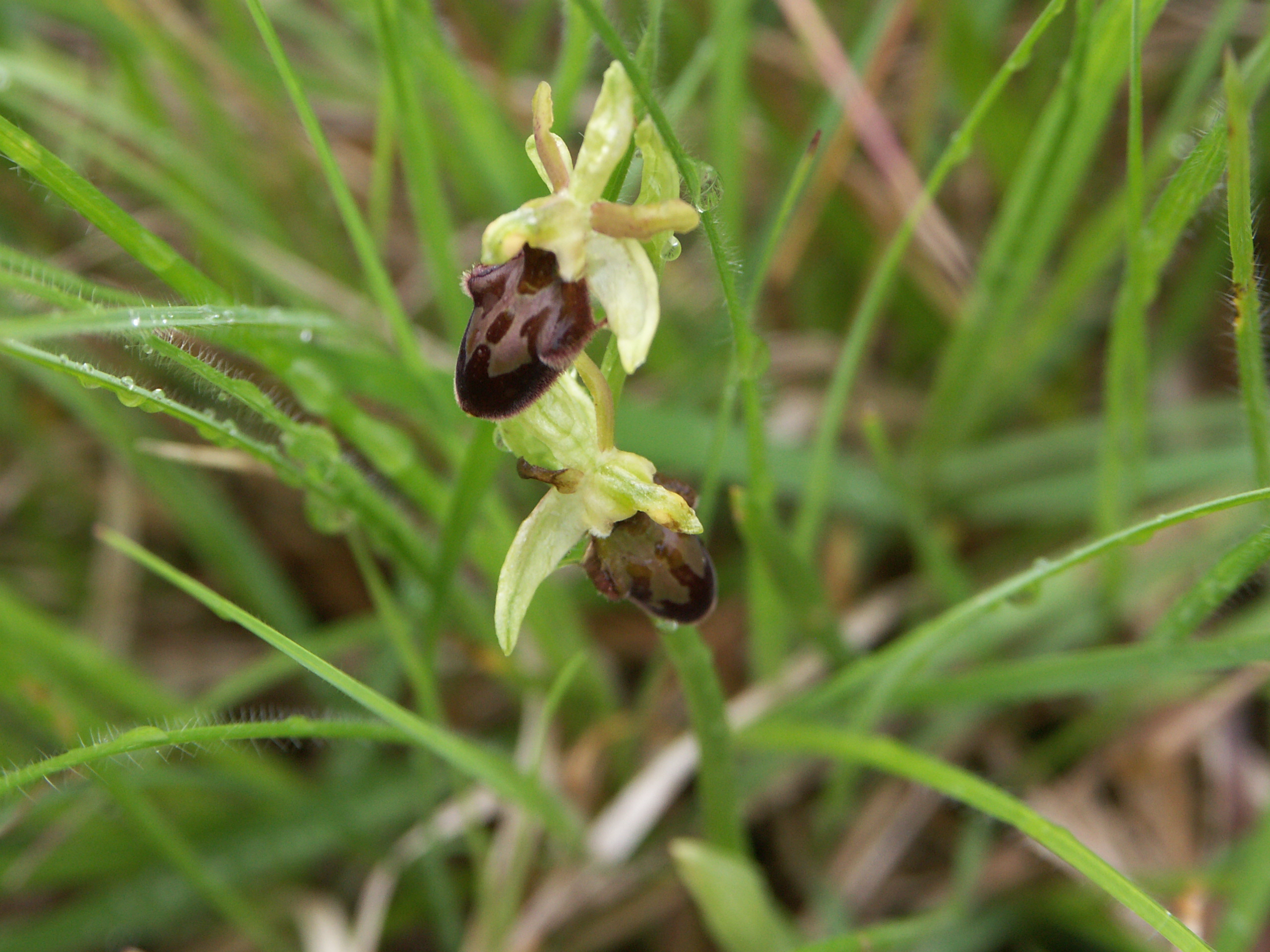 01072013205724 1076 art 550 pict1716