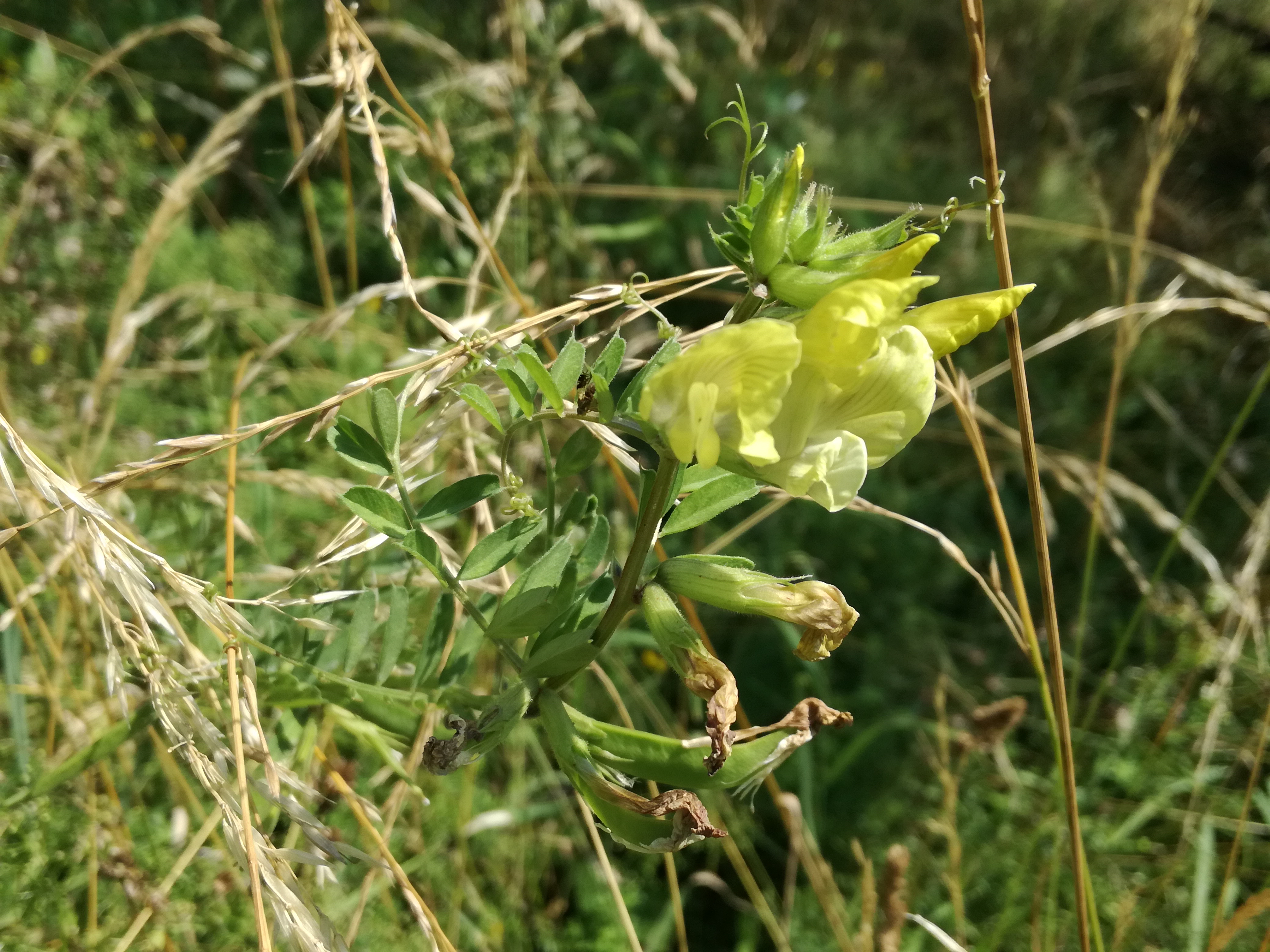 01072018193921 3773 art 2260 img 20180630 102452