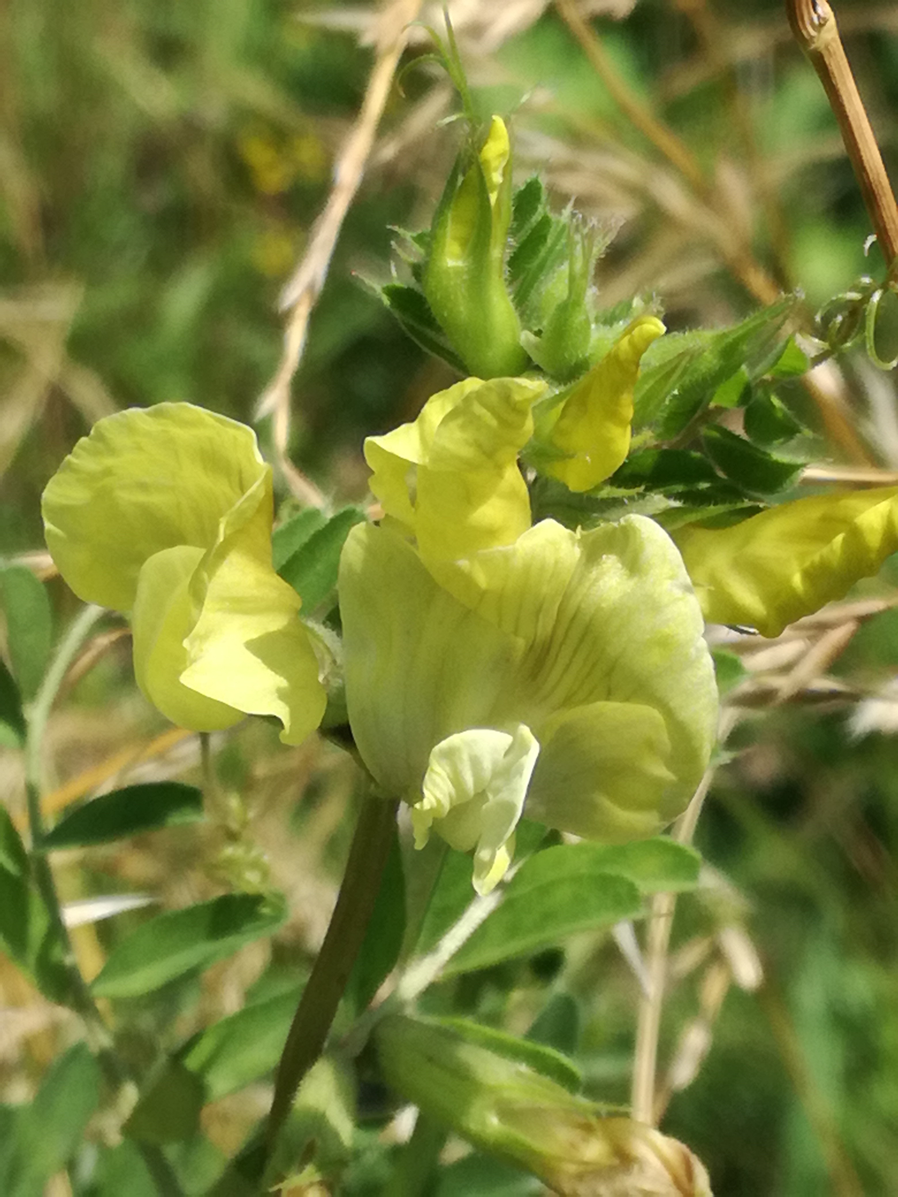 01072018194003 3774 art 2260 img 20180630 102442