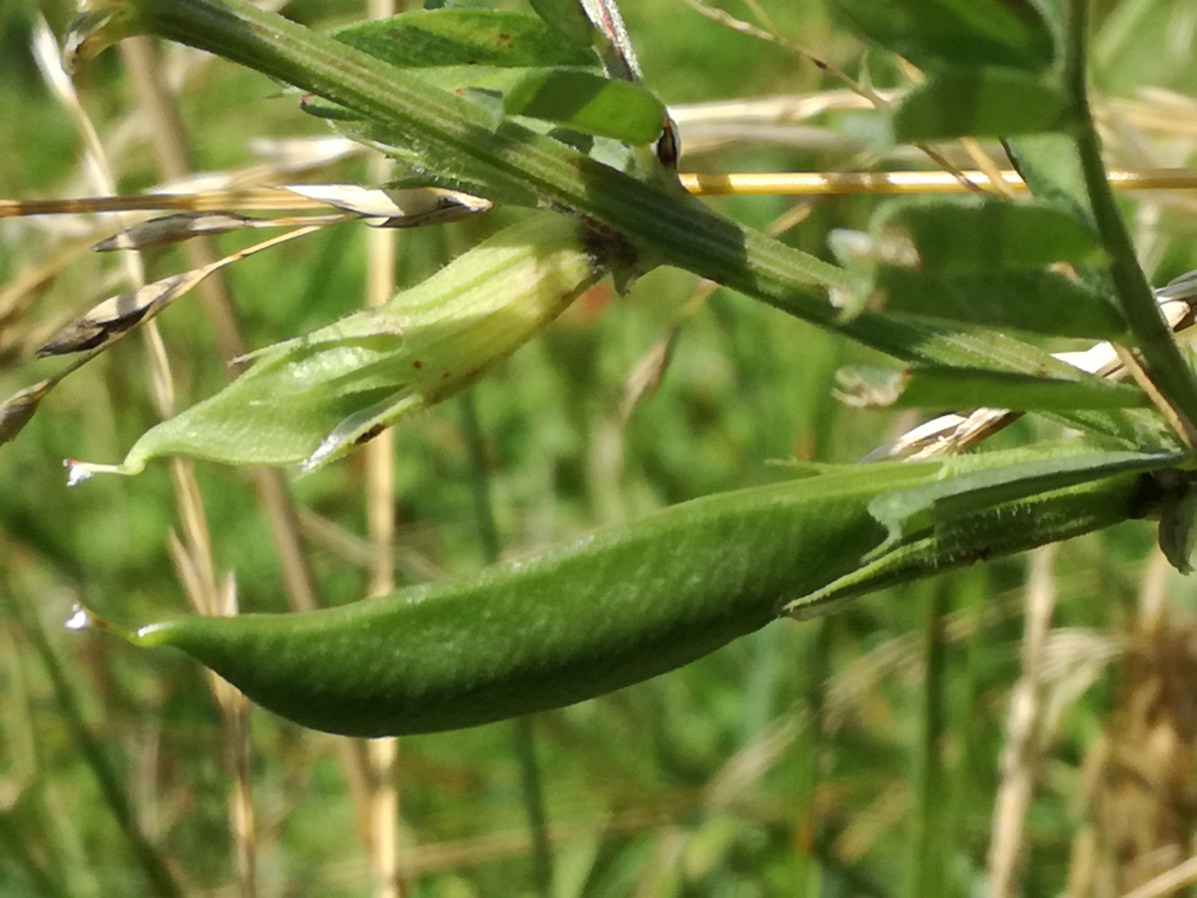 01072018194047 3775 art 2260 img 20180630 102618