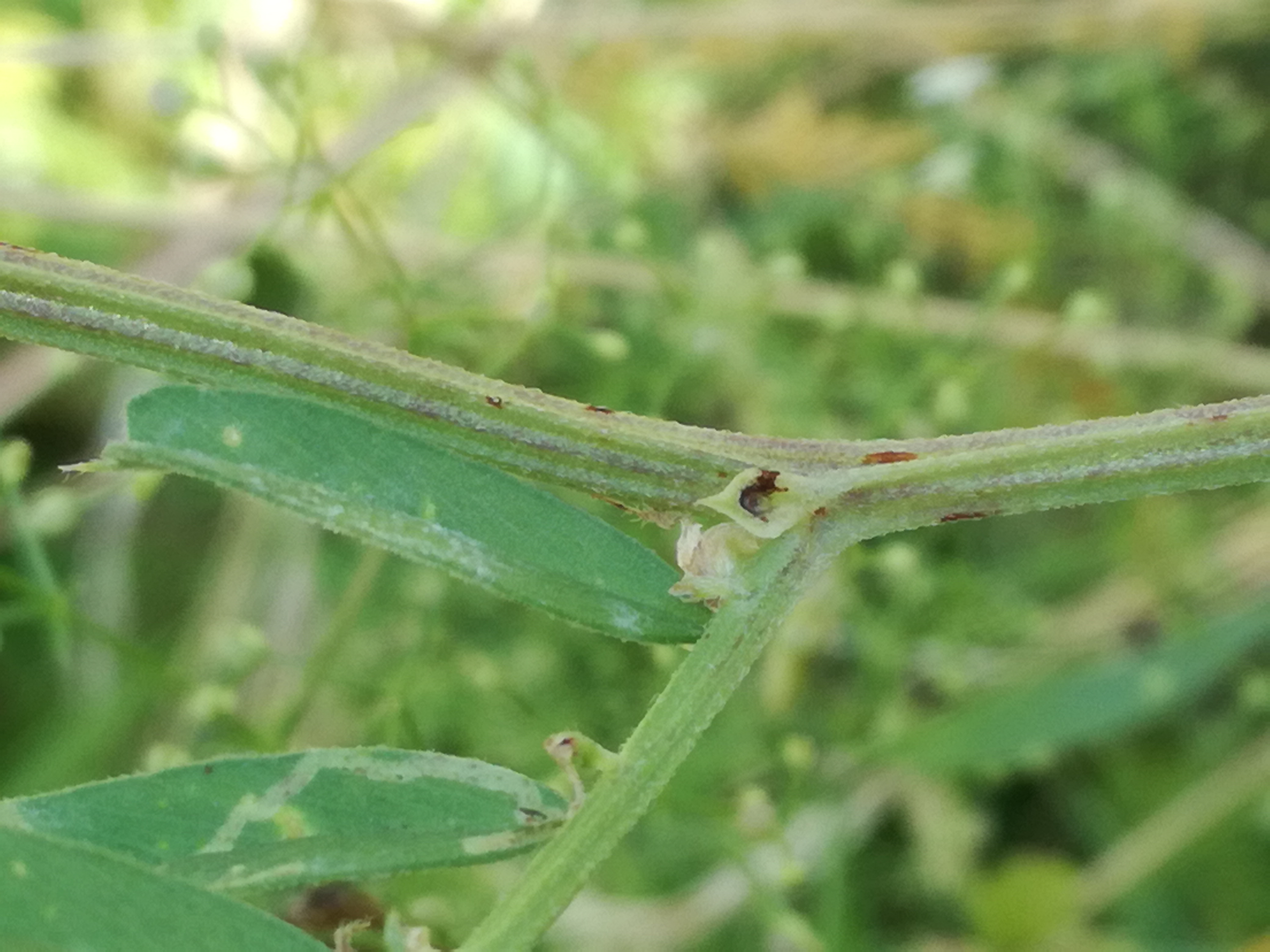 01072018194218 3776 art 2260 img 20180630 102549