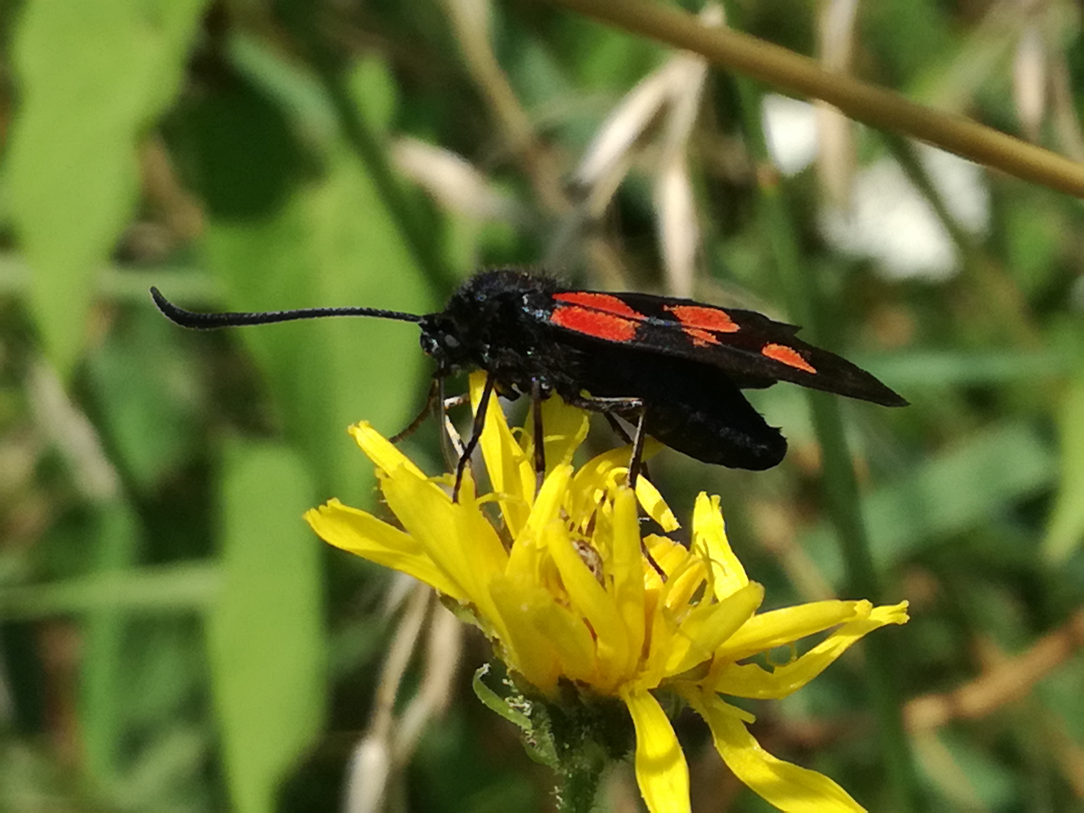 01072018200740 3778 art 2261 img 20180630 102003