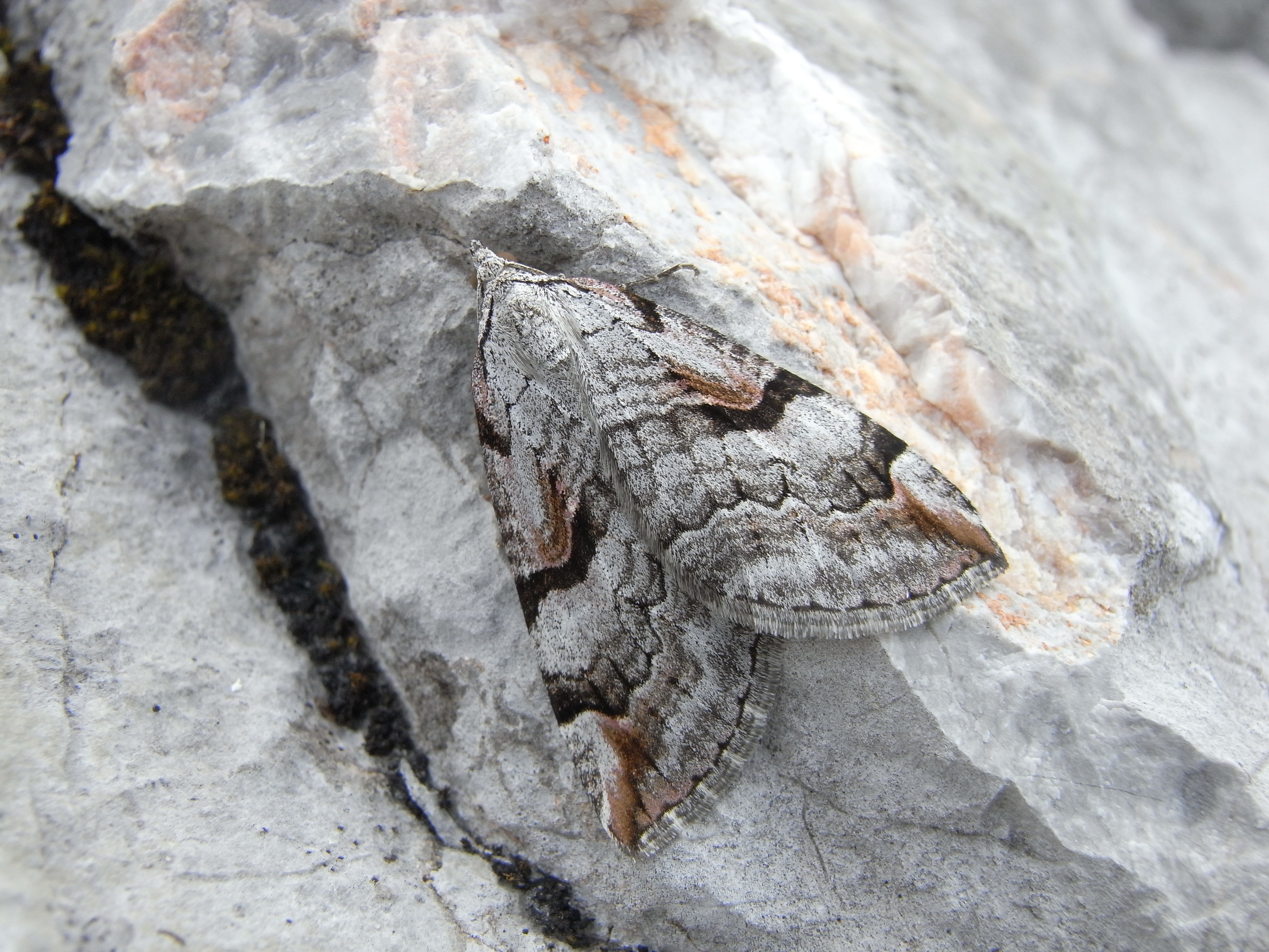 01092013190033 1815 art 1351 rimg0028