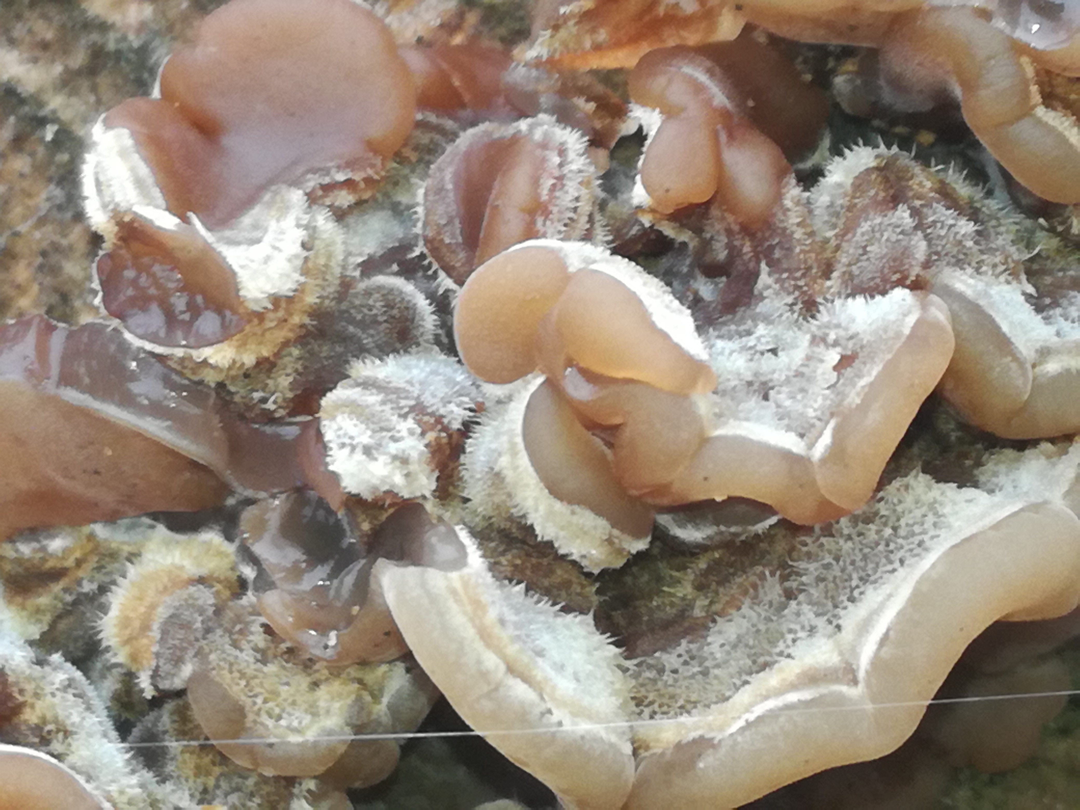 01112017125511 3206 art 1917 img 20171023 133753