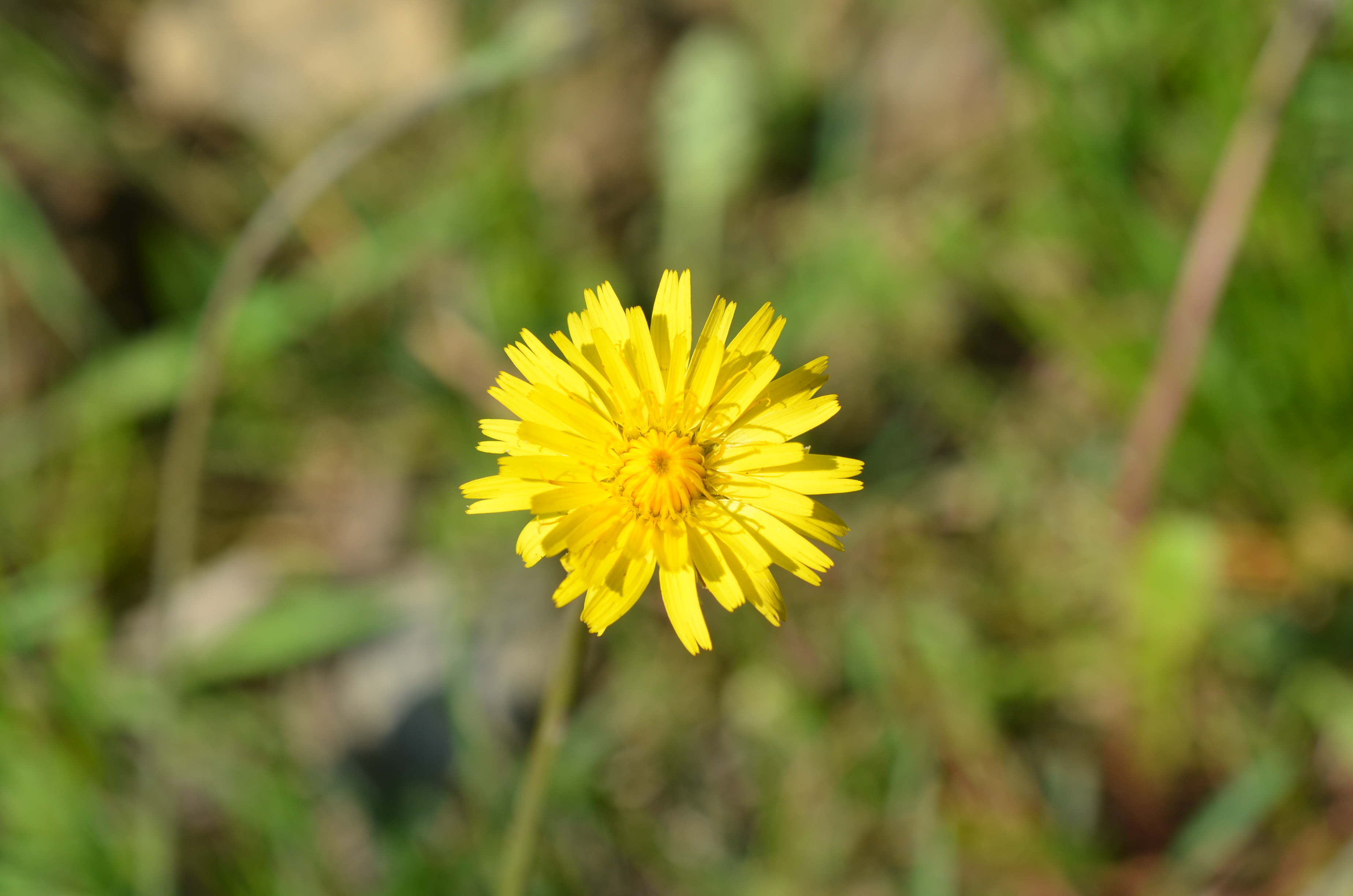 02052014134354 2355 art 539 dsc 3851