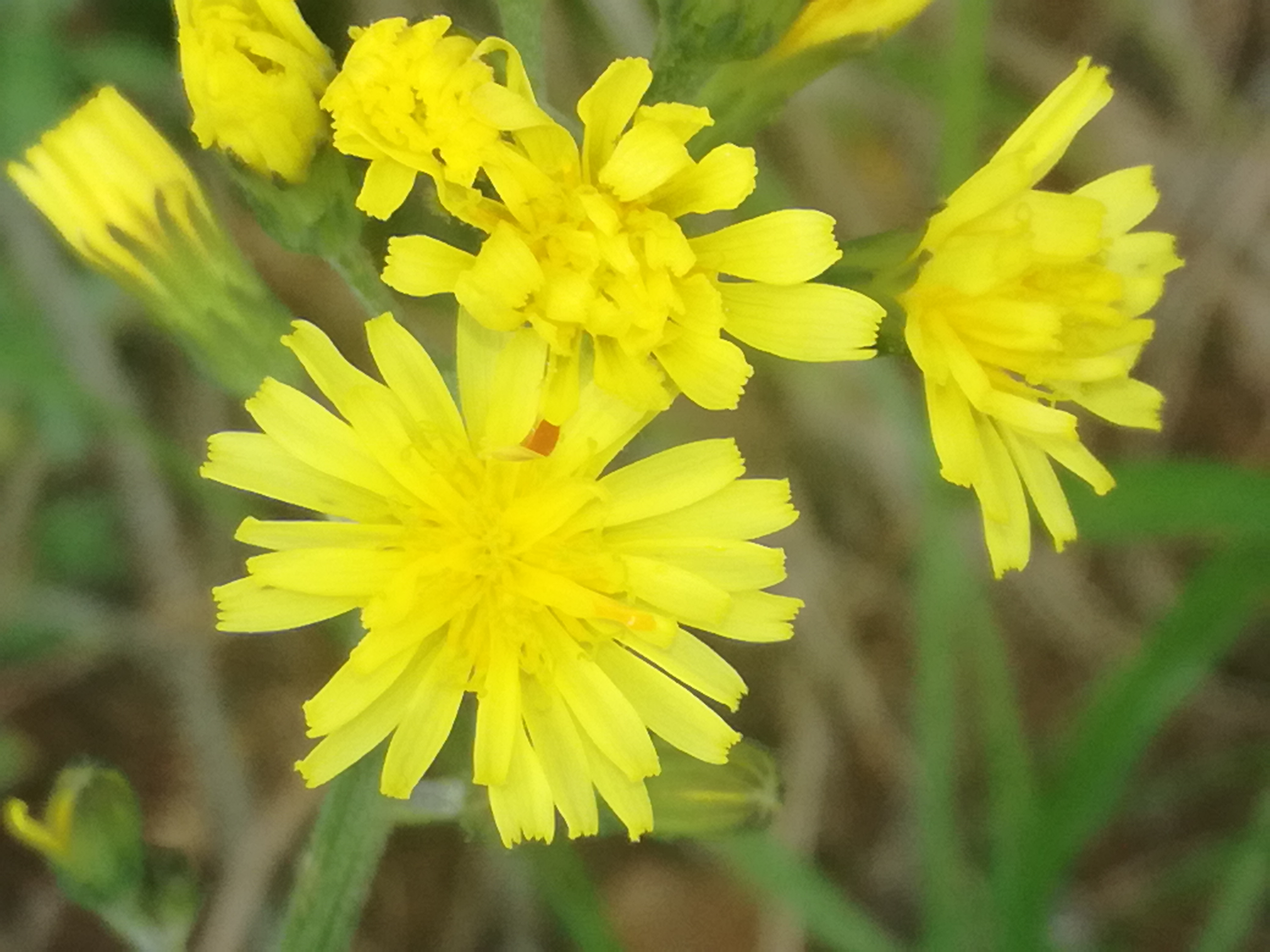 02052018223525 3549 art 1247 img 20180502 143712