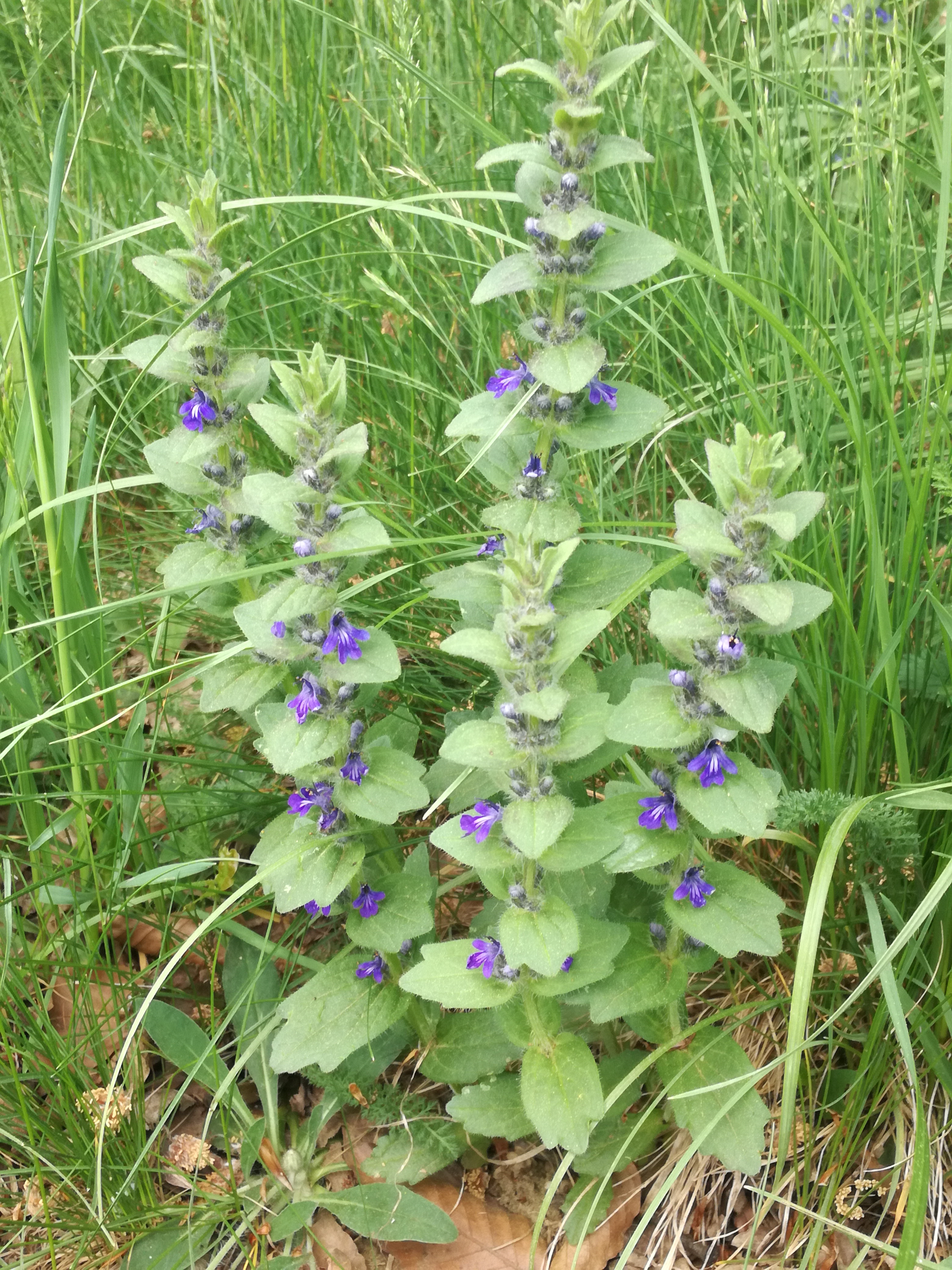 02052018225728 3552 art 1460 img 20180502 141029