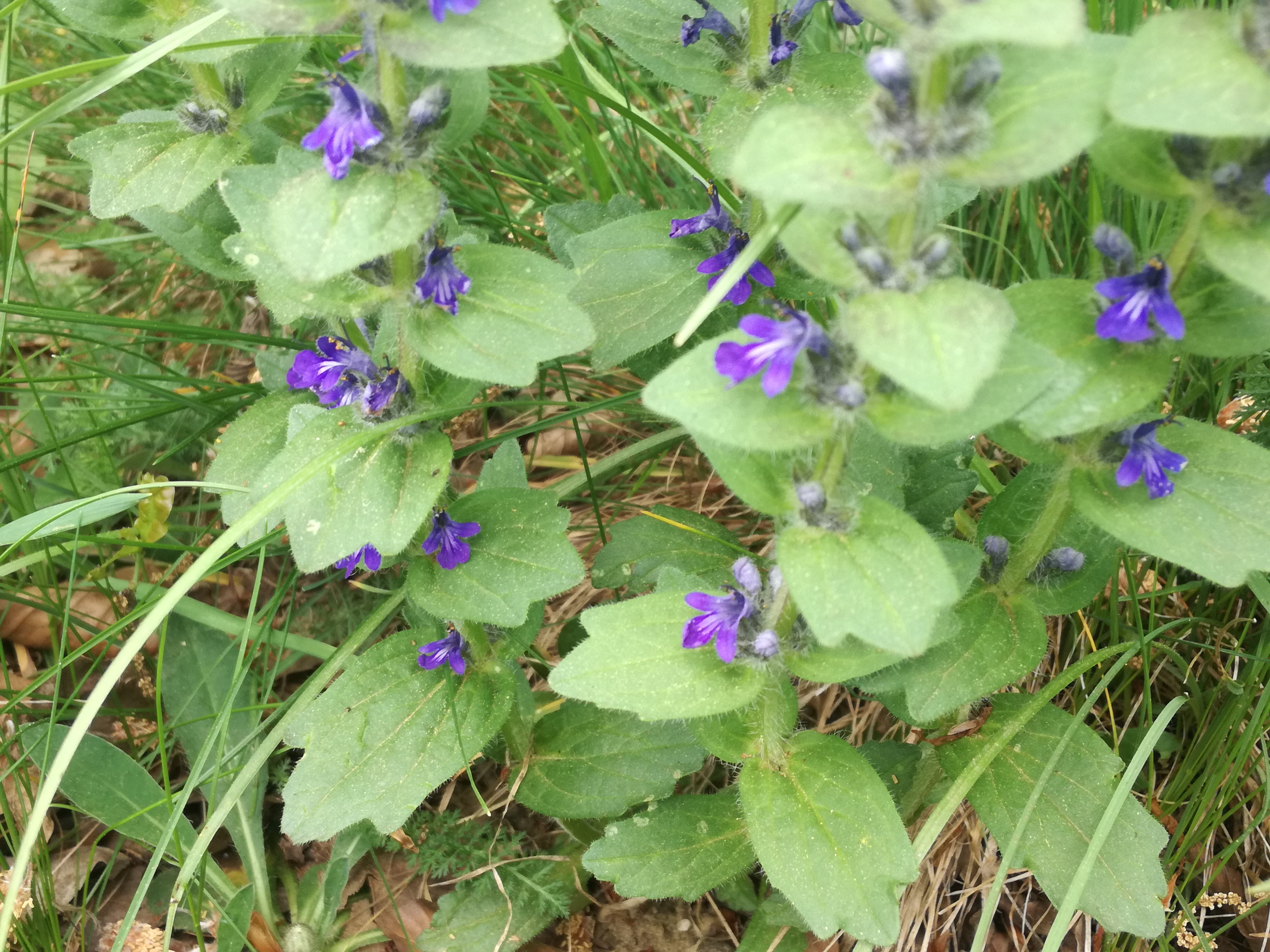 02052018225822 3553 art 1460 img 20180502 141035