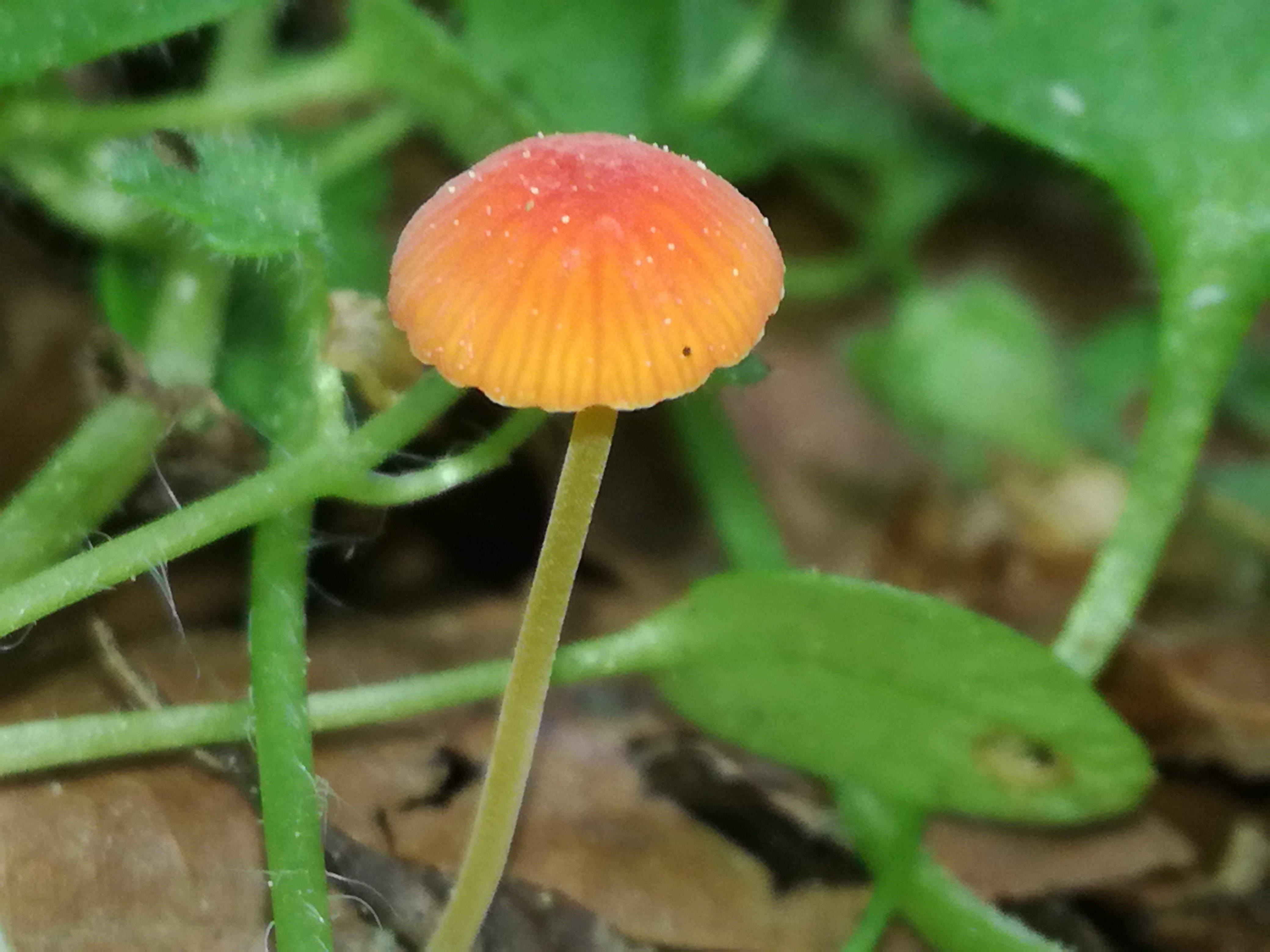 02052018230905 3554 art 2127 img 20180502 105327 1