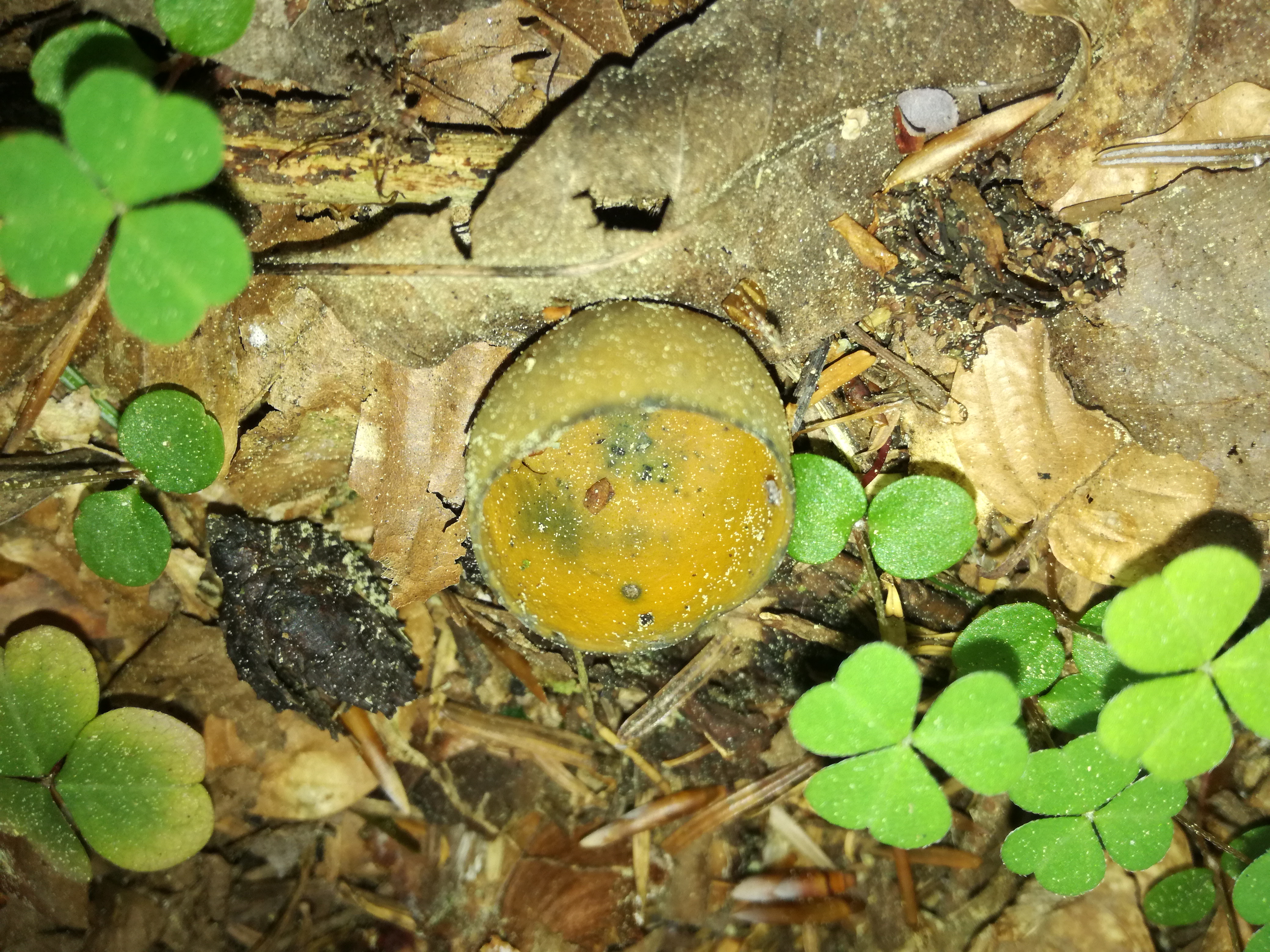 02052018232011 3557 art 2128 img 20180502 092423