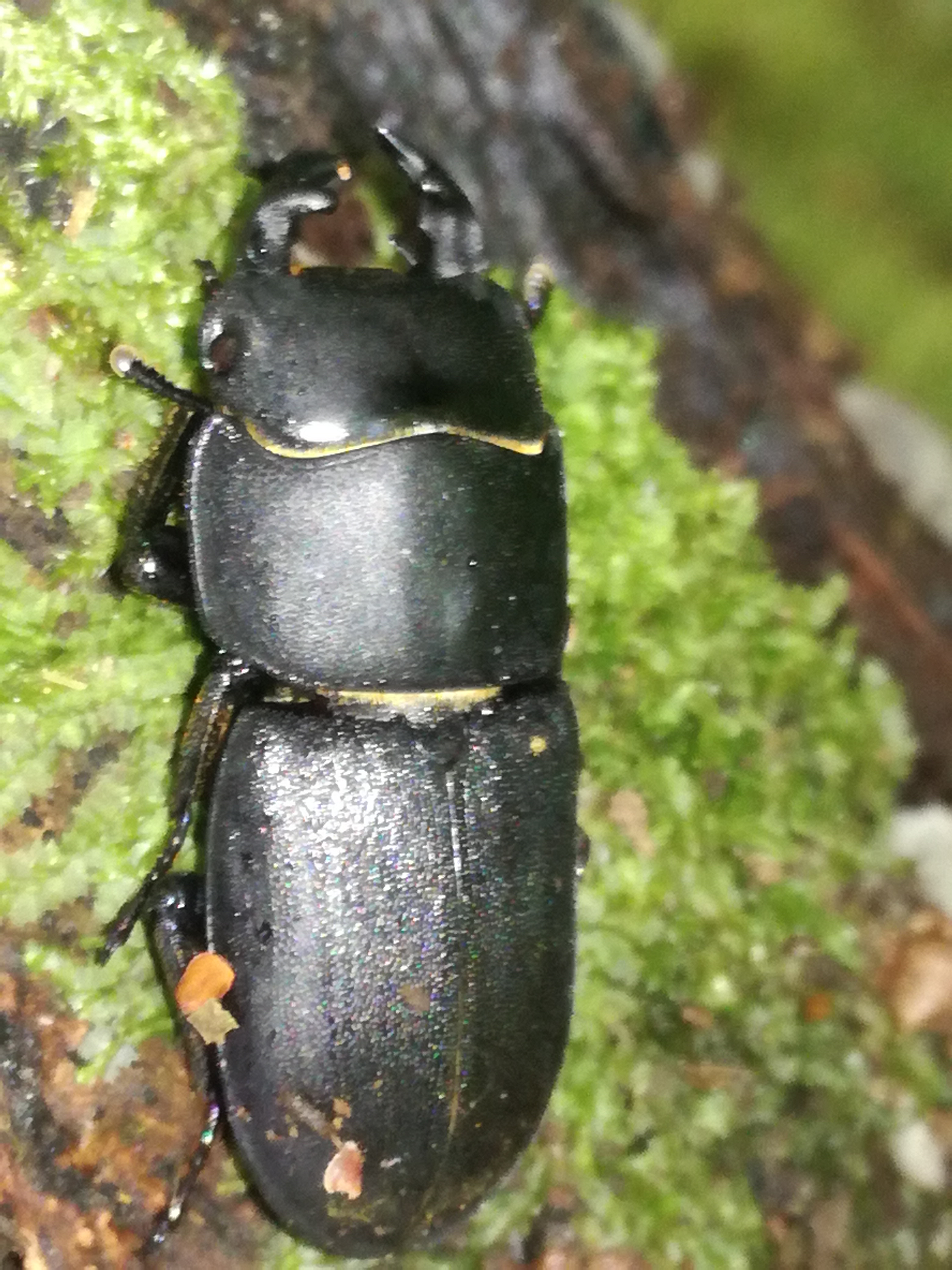 02052018232130 3558 art 324 img 20180502 105328