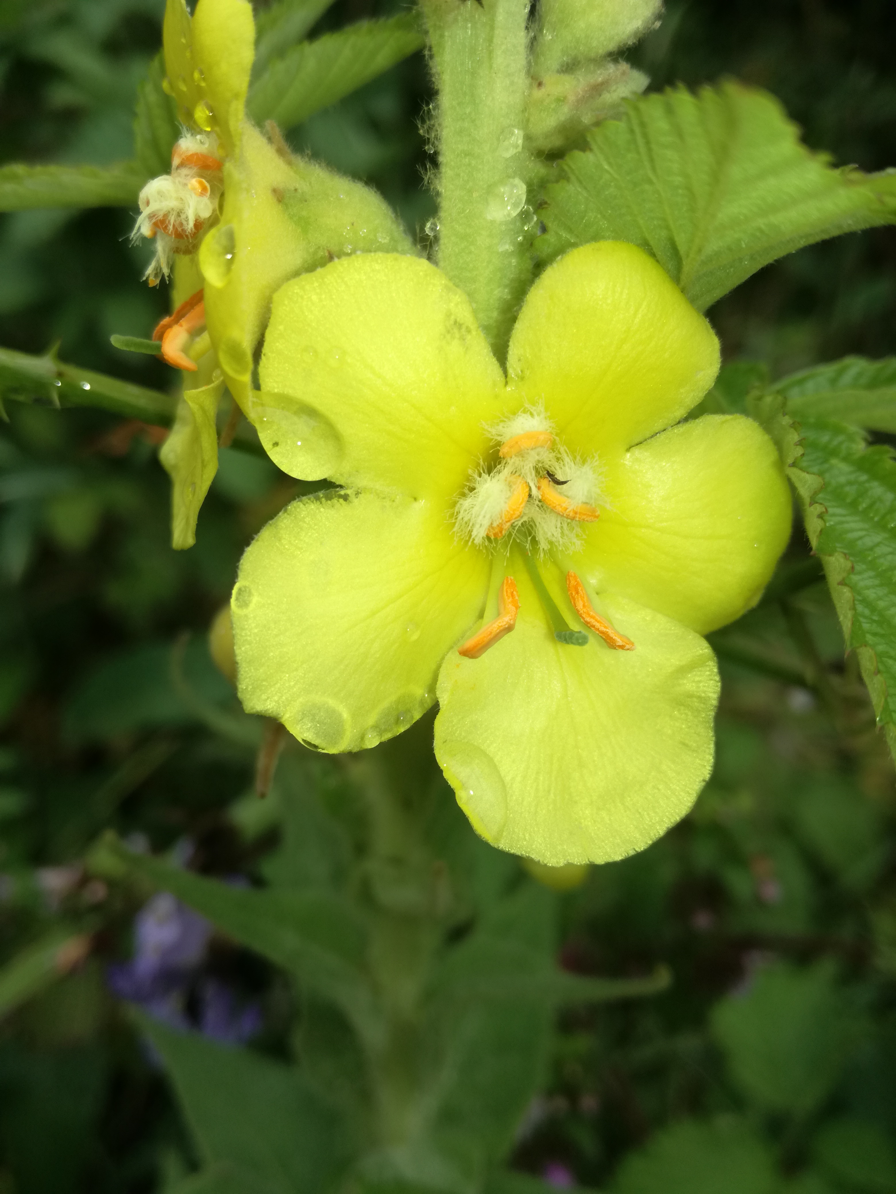 02072018100143 3789 art 2266 img 20180628 104052