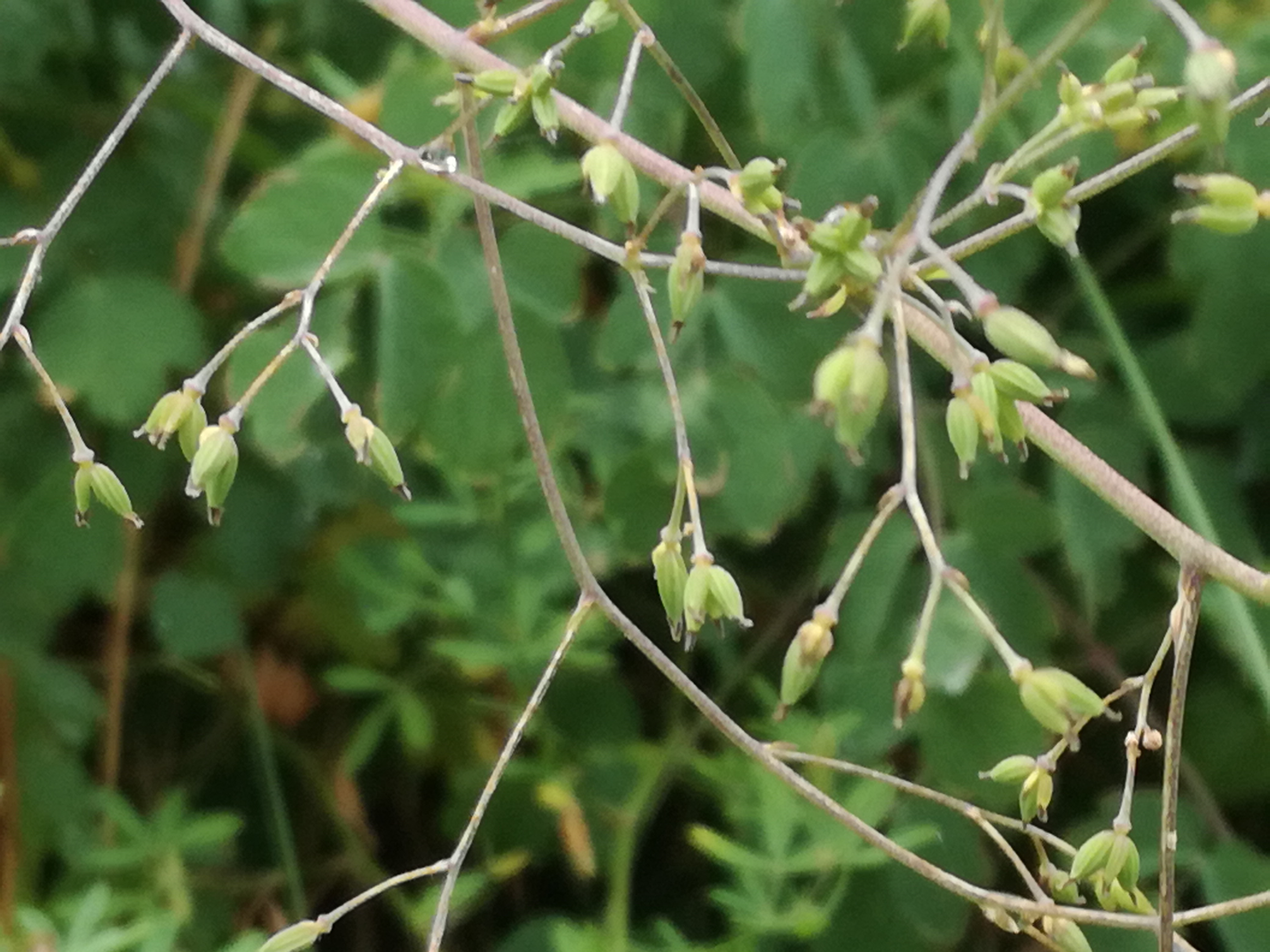 02072018101203 3792 art 2267 img 20180628 104812