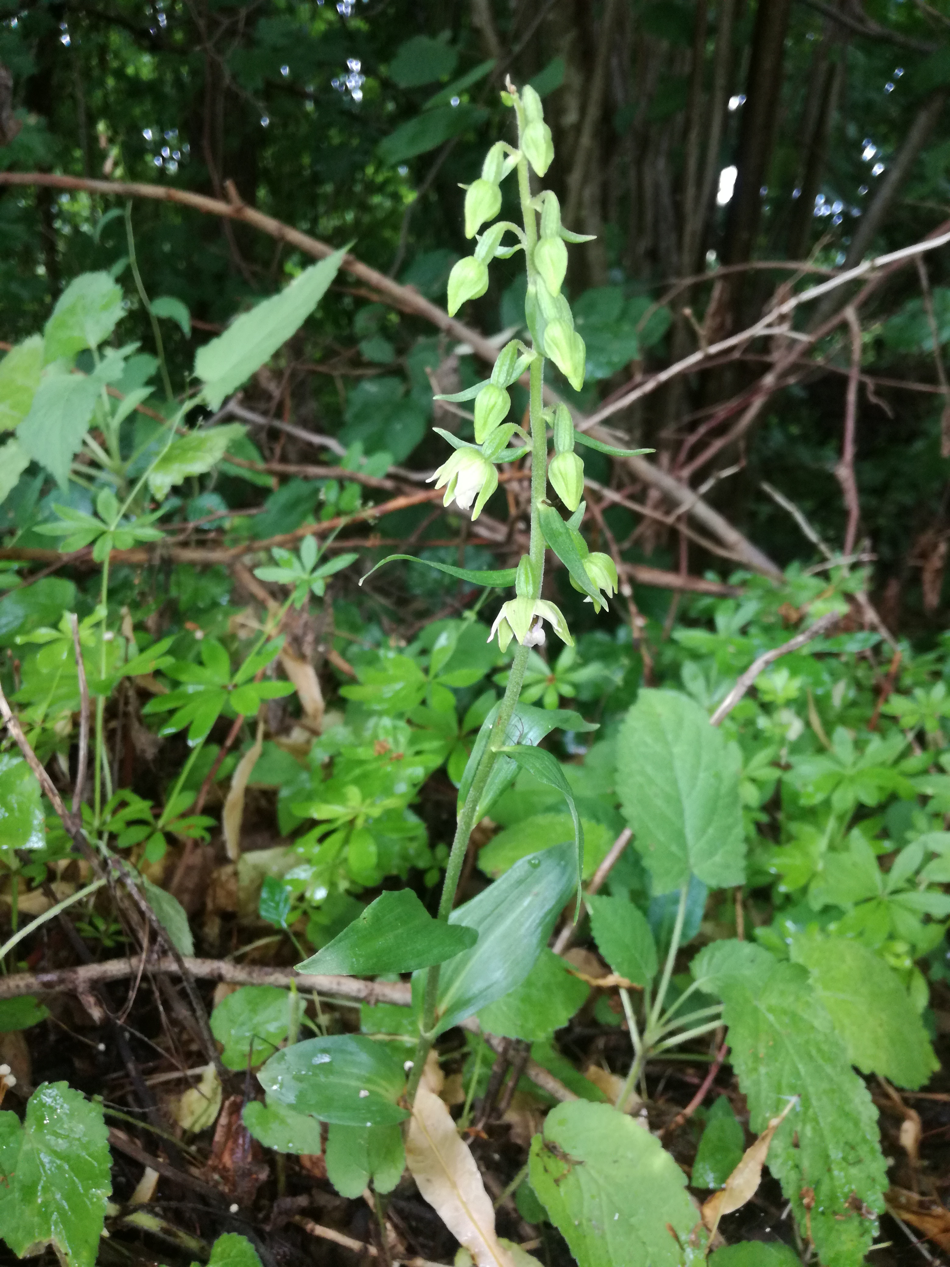 02072018104215 3794 art 2268 img 20180628 110927