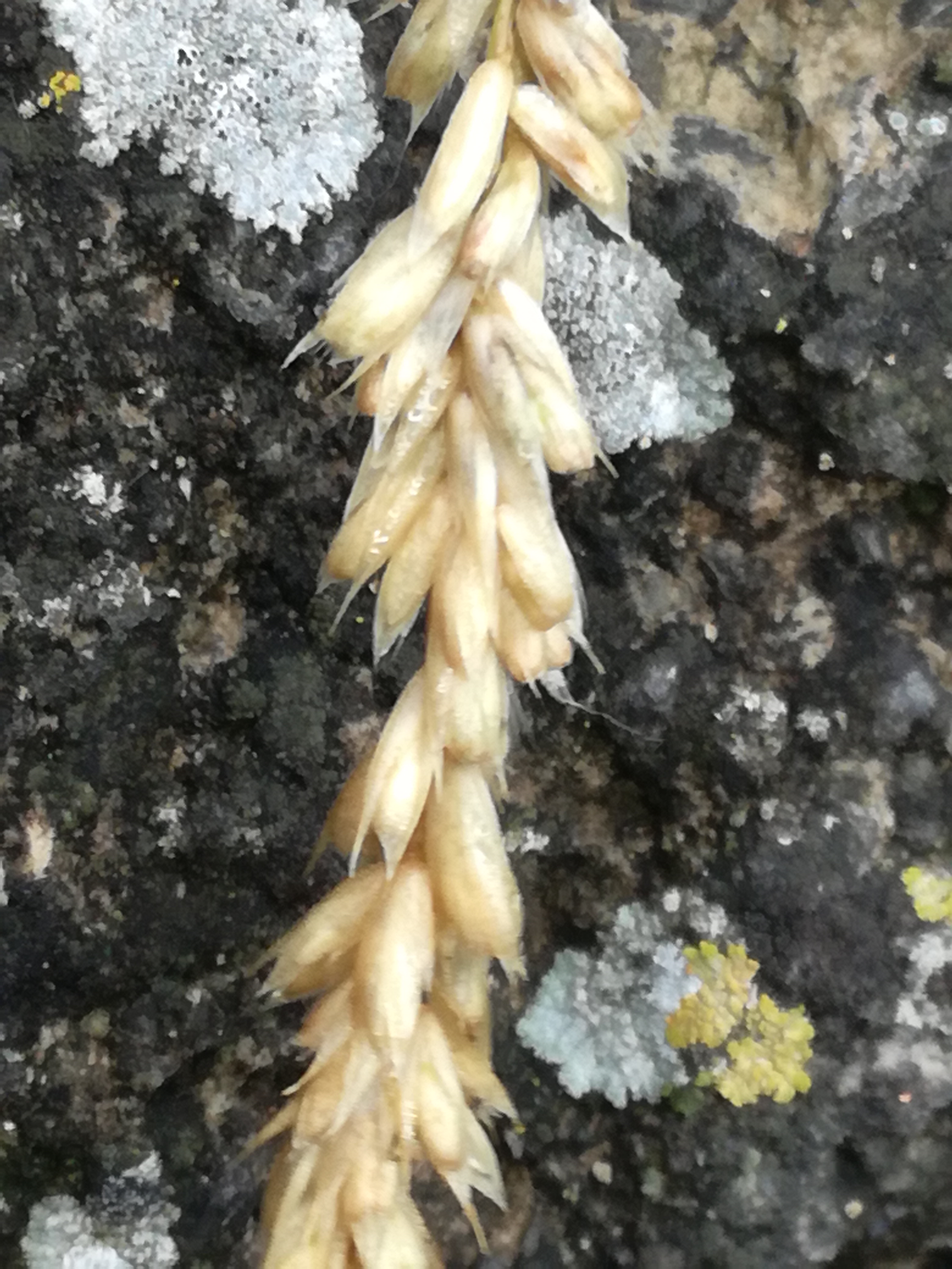 02072018110343 3797 art 2270 img 20180628 121024