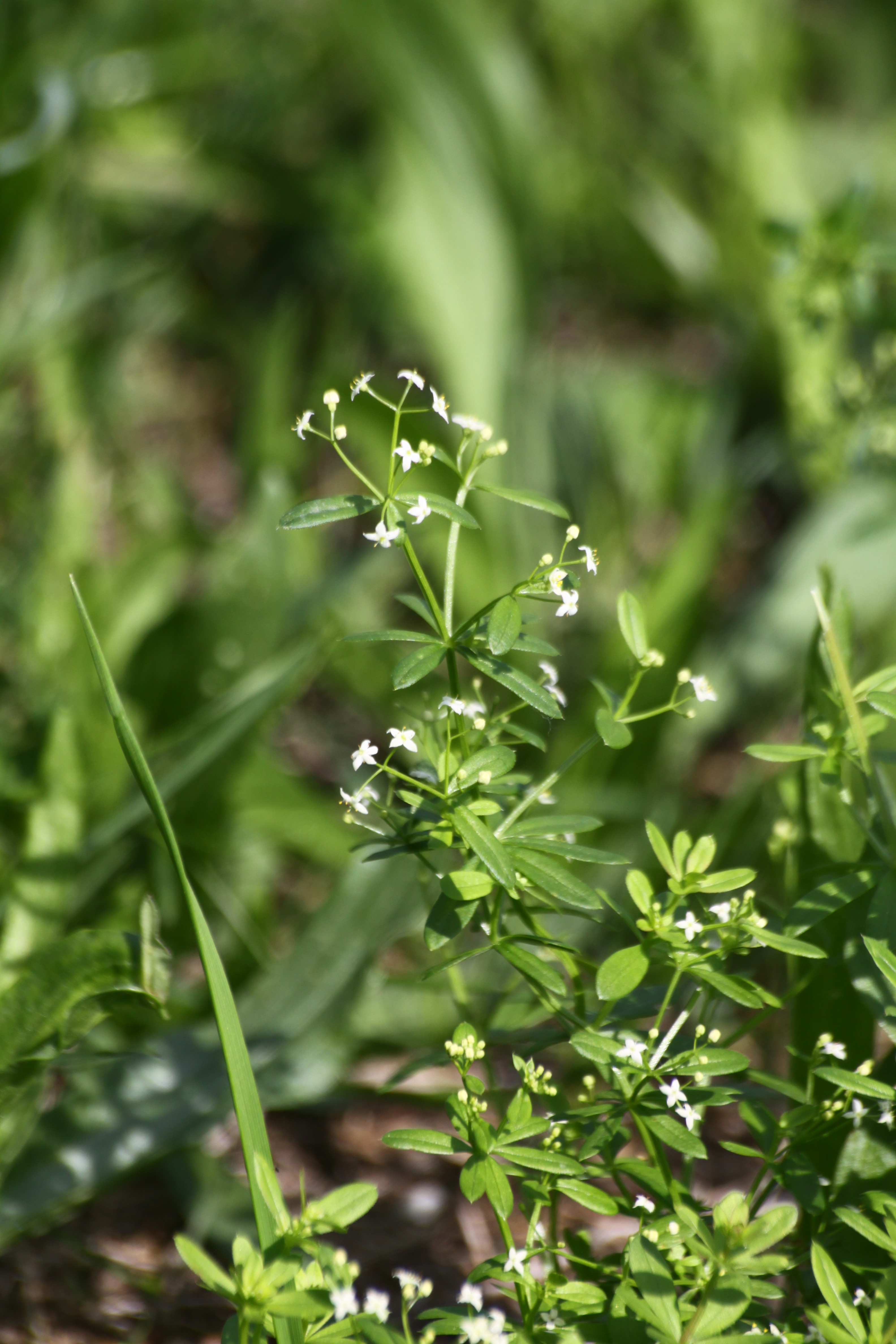 02092013075849 1851 art 1302 0 089