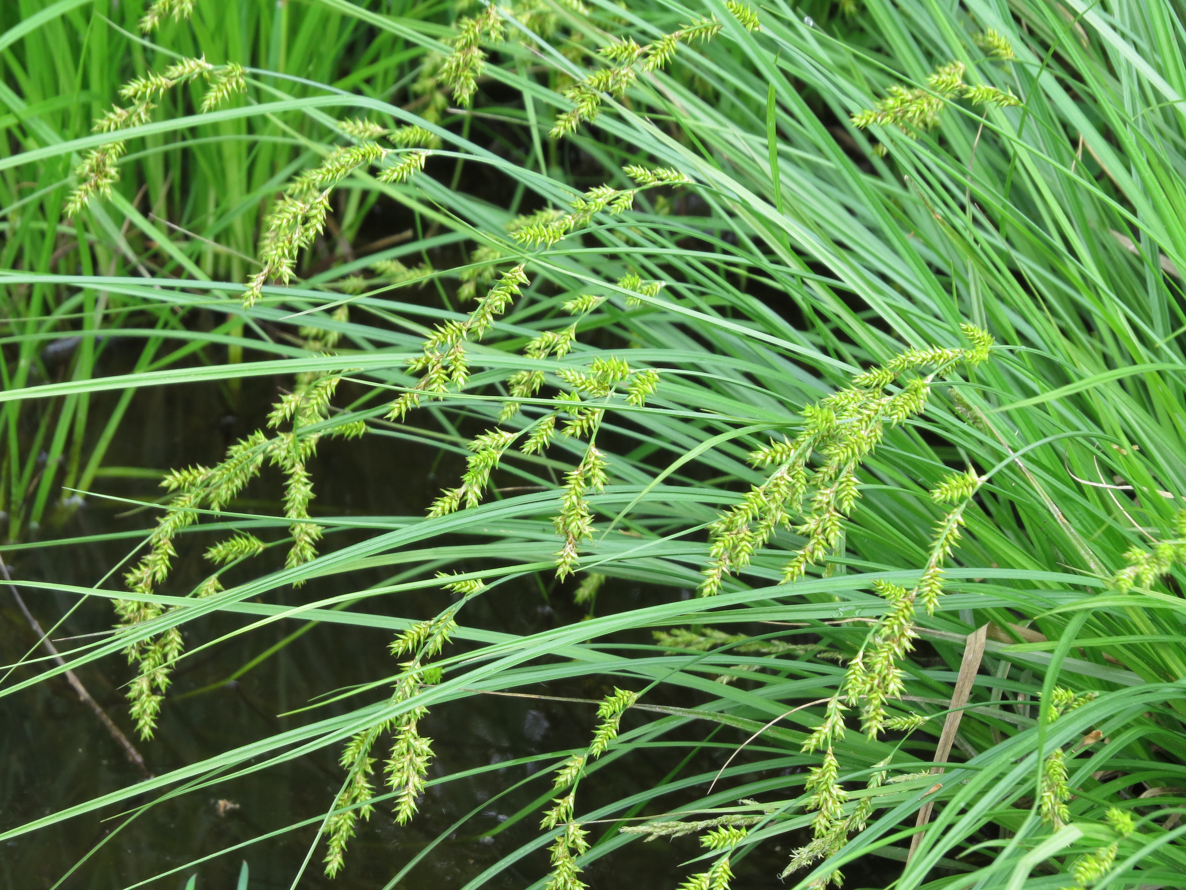 02092013083033 1858 art 227 0 649