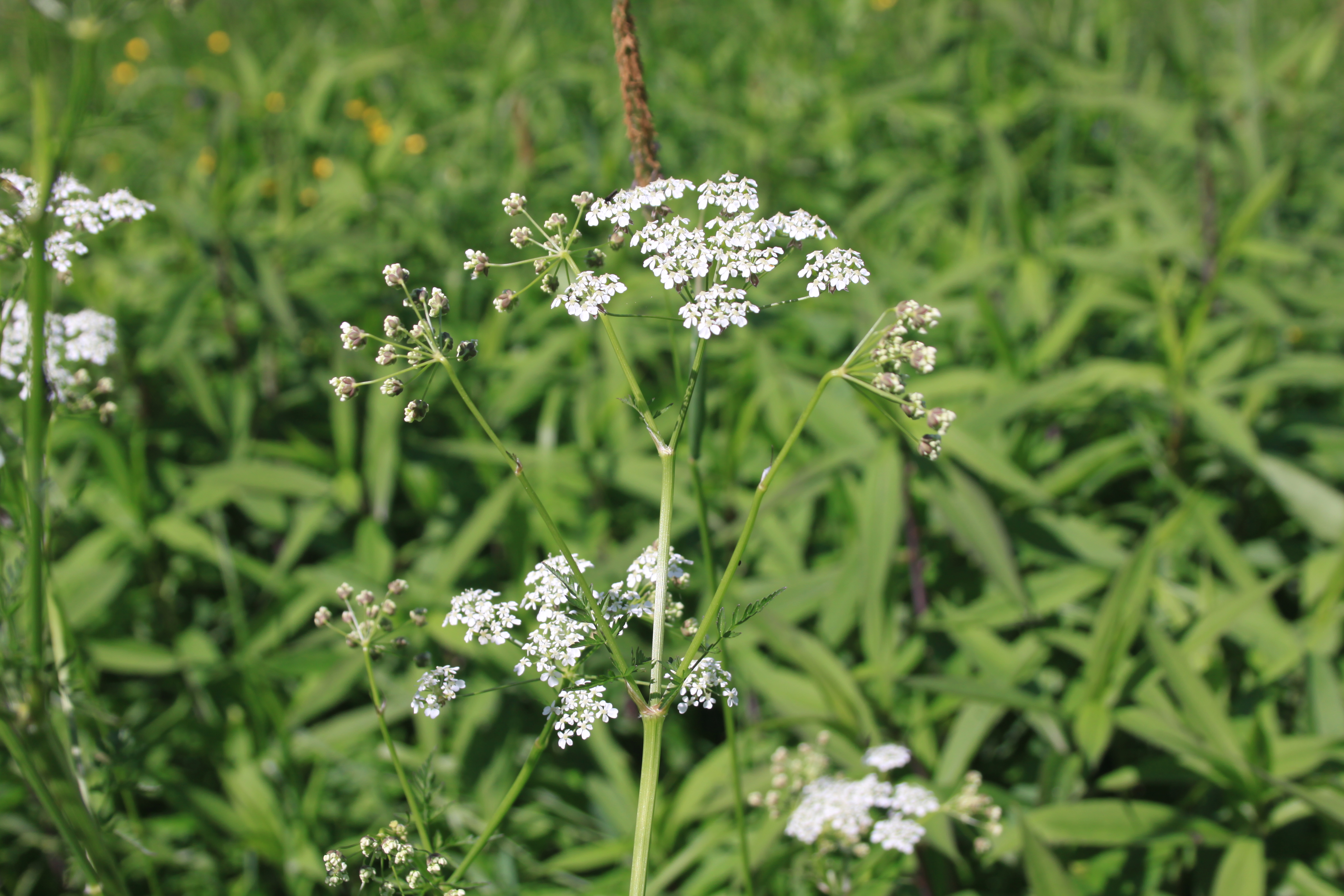 02092013083714 1859 art 901 0 790