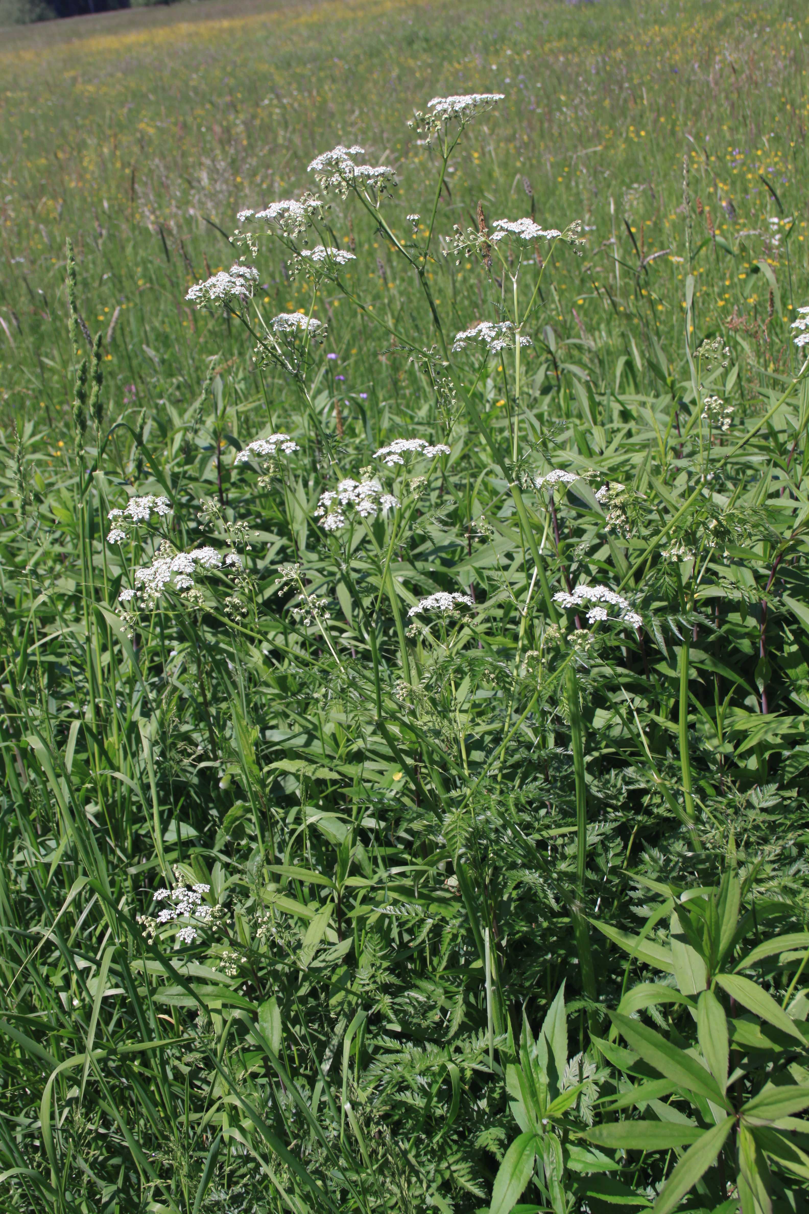 02092013085411 1860 art 901 0 791