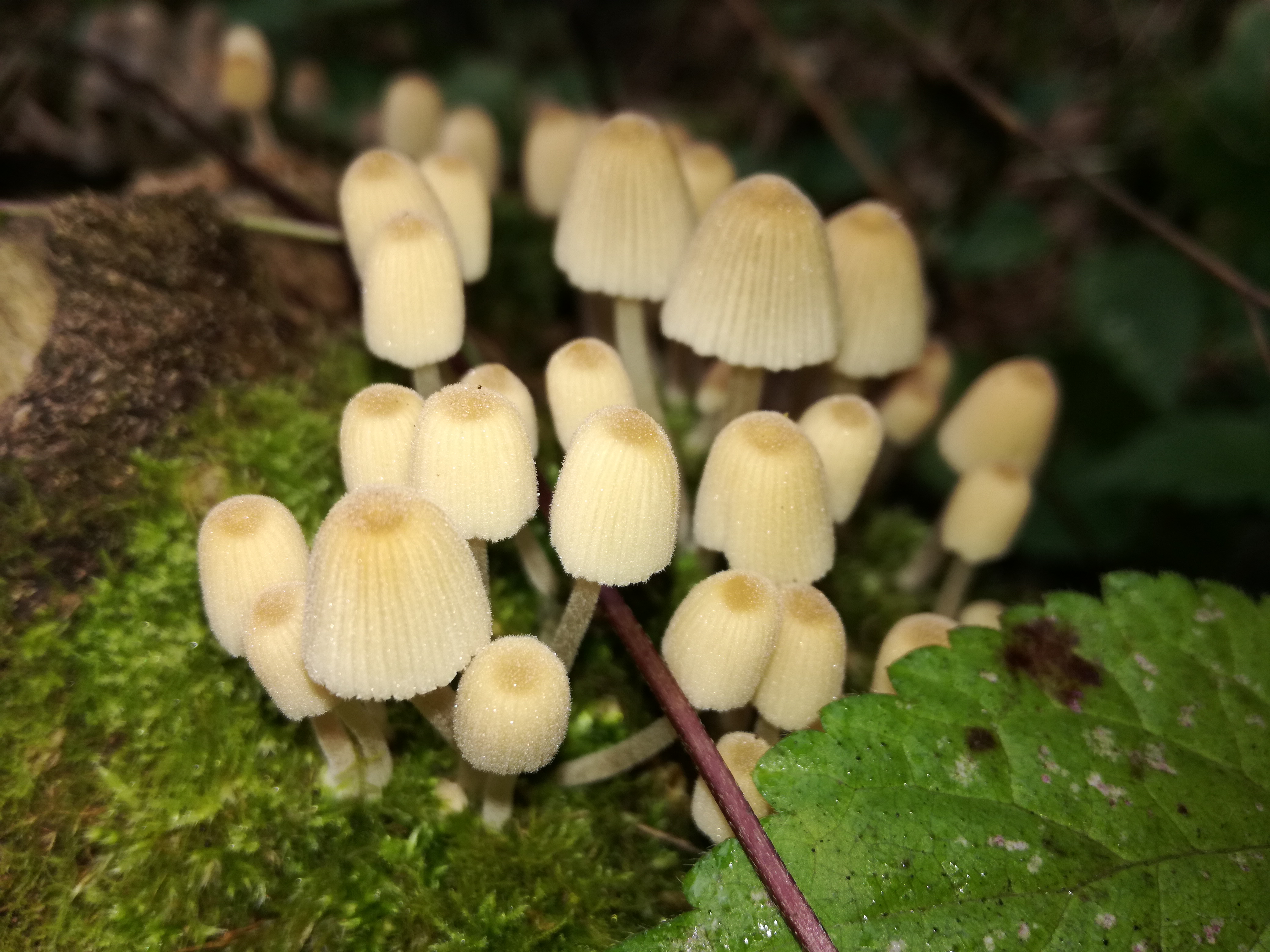 02102016192349 2885 art 210 img 20160927 104538