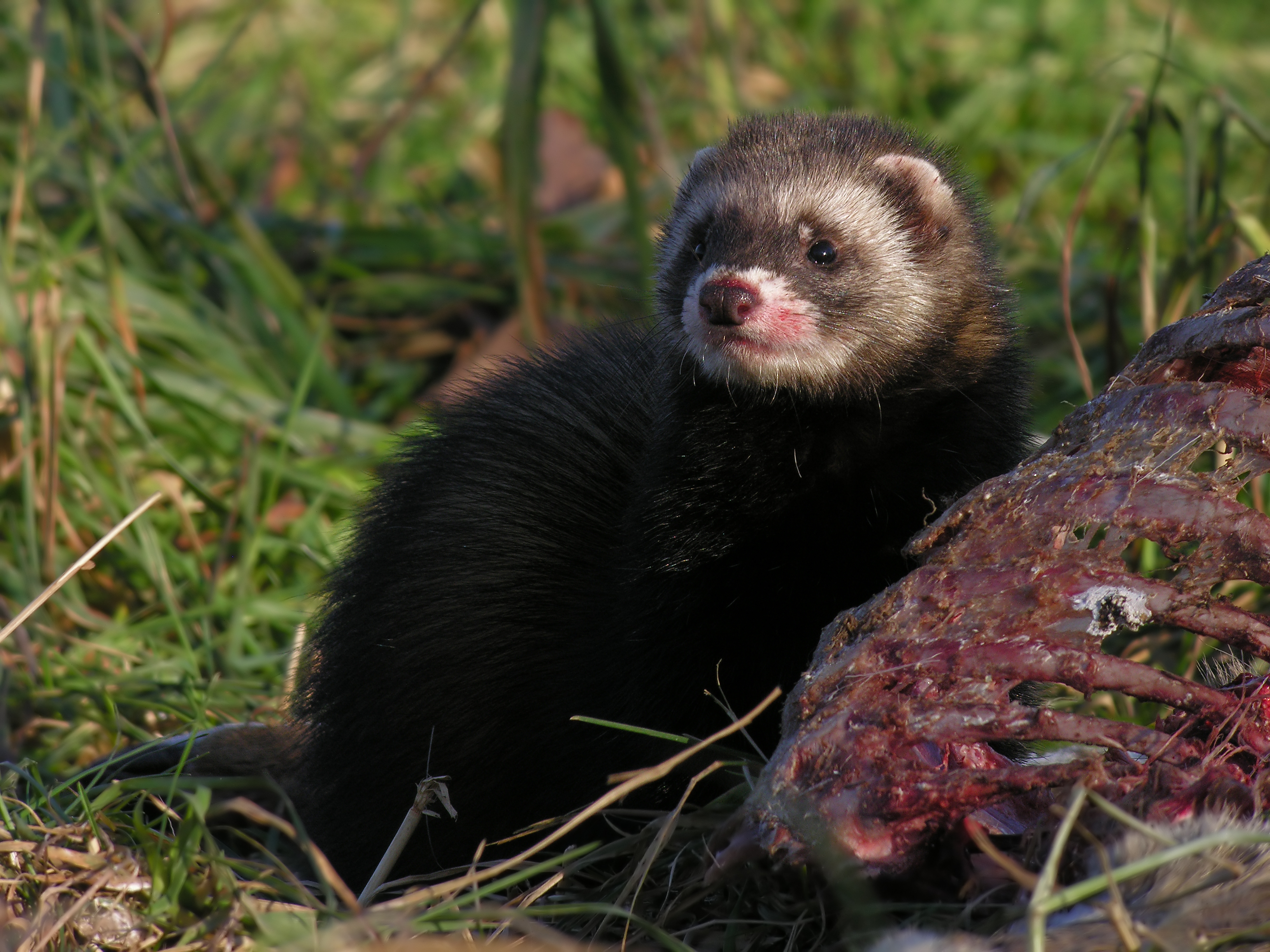 02112013193121 2185 art 1001 iltis