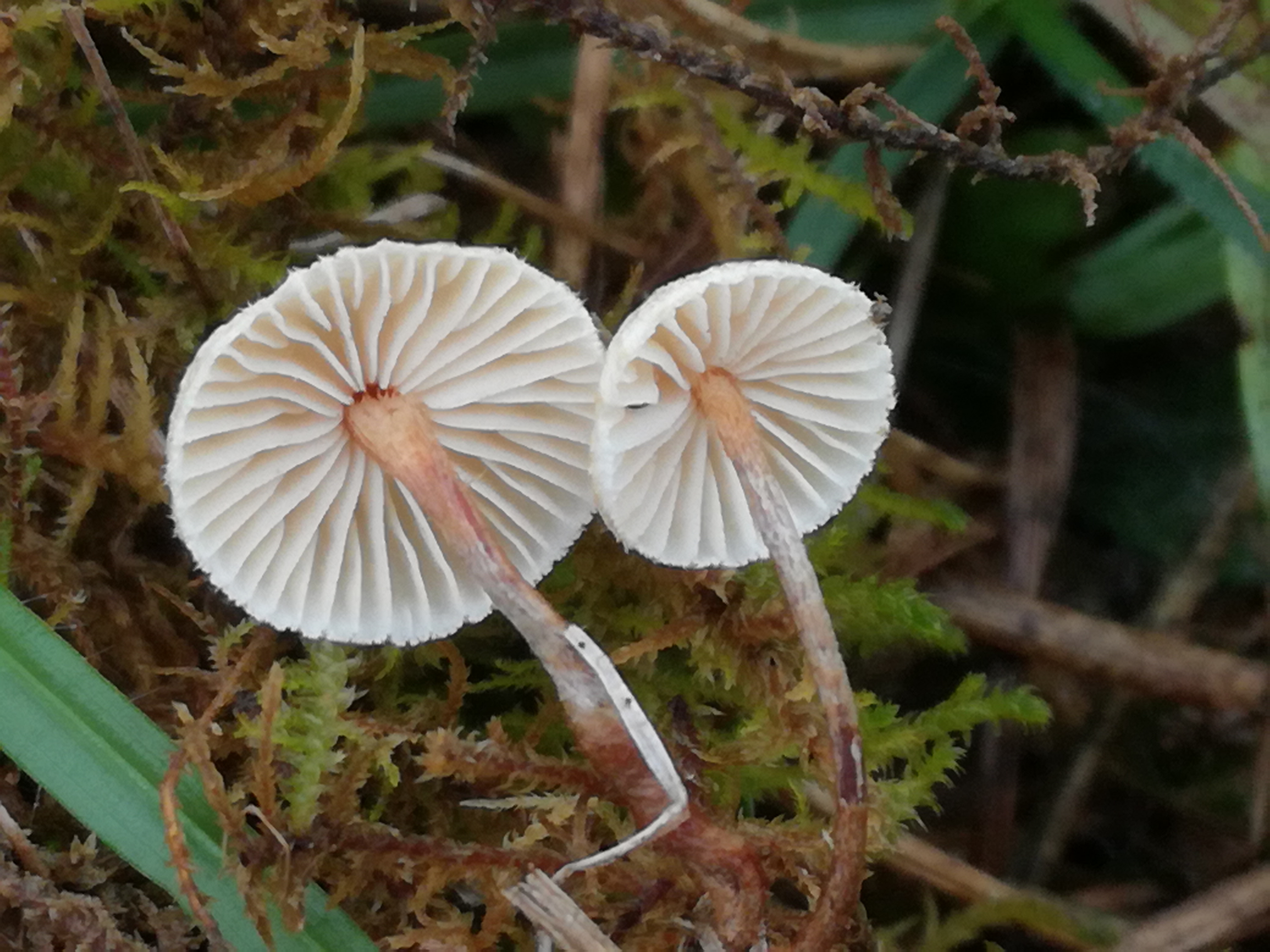 02112017111845 3222 art 1925 img 20171023 101821