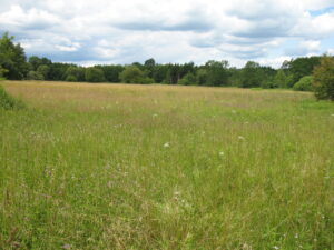 03052013103250 188 lebensraum 1120 img 5278