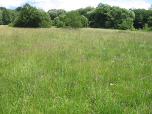 03052013105805 193 lebensraum 1118 img 5429