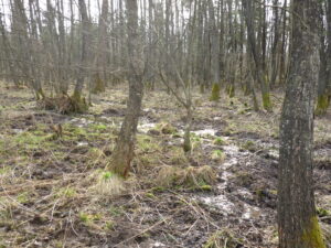 03052013110223 194 lebensraum 1110 p1010734