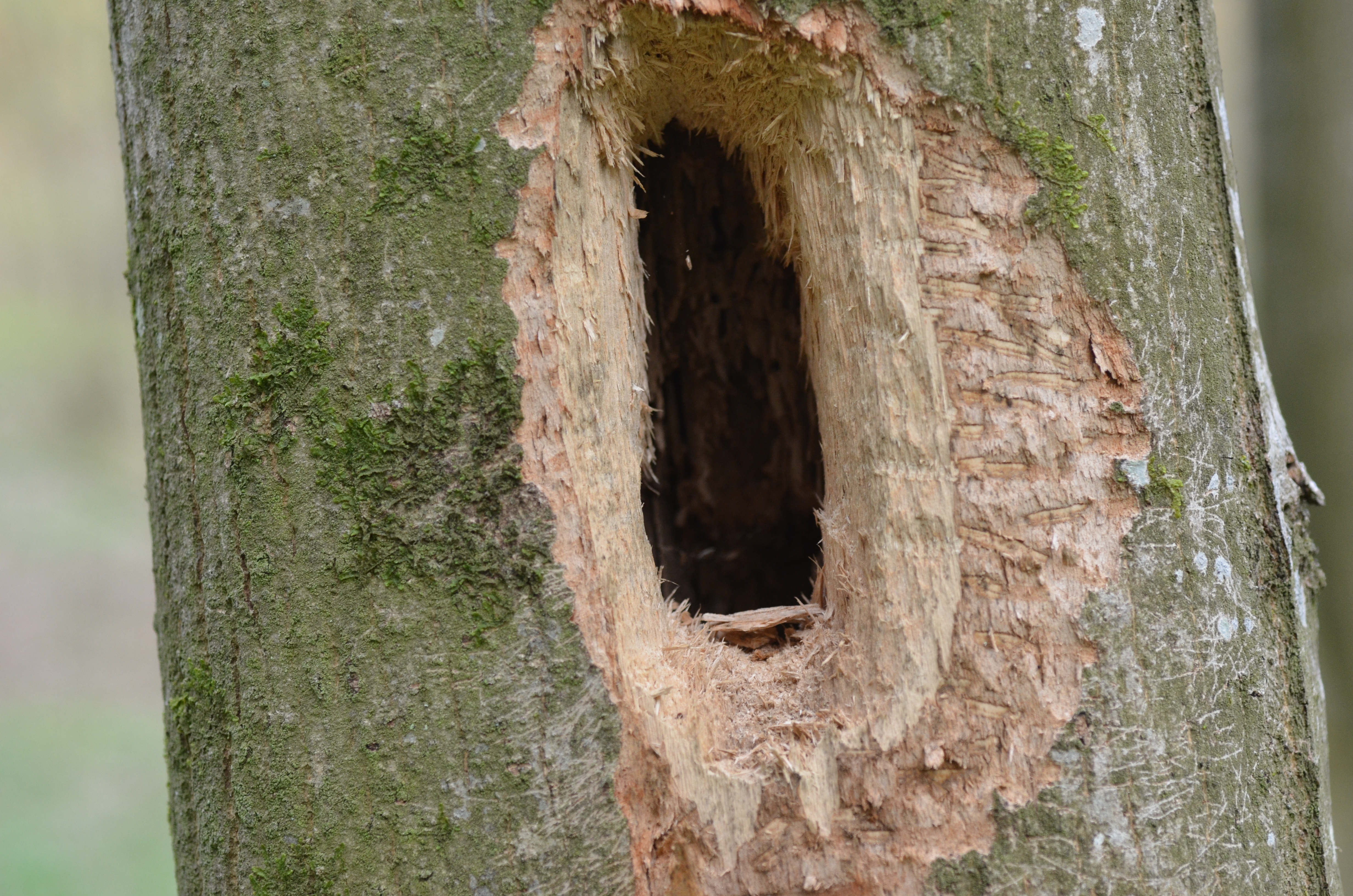 03082014122452 2620 art 829 dsc 3129