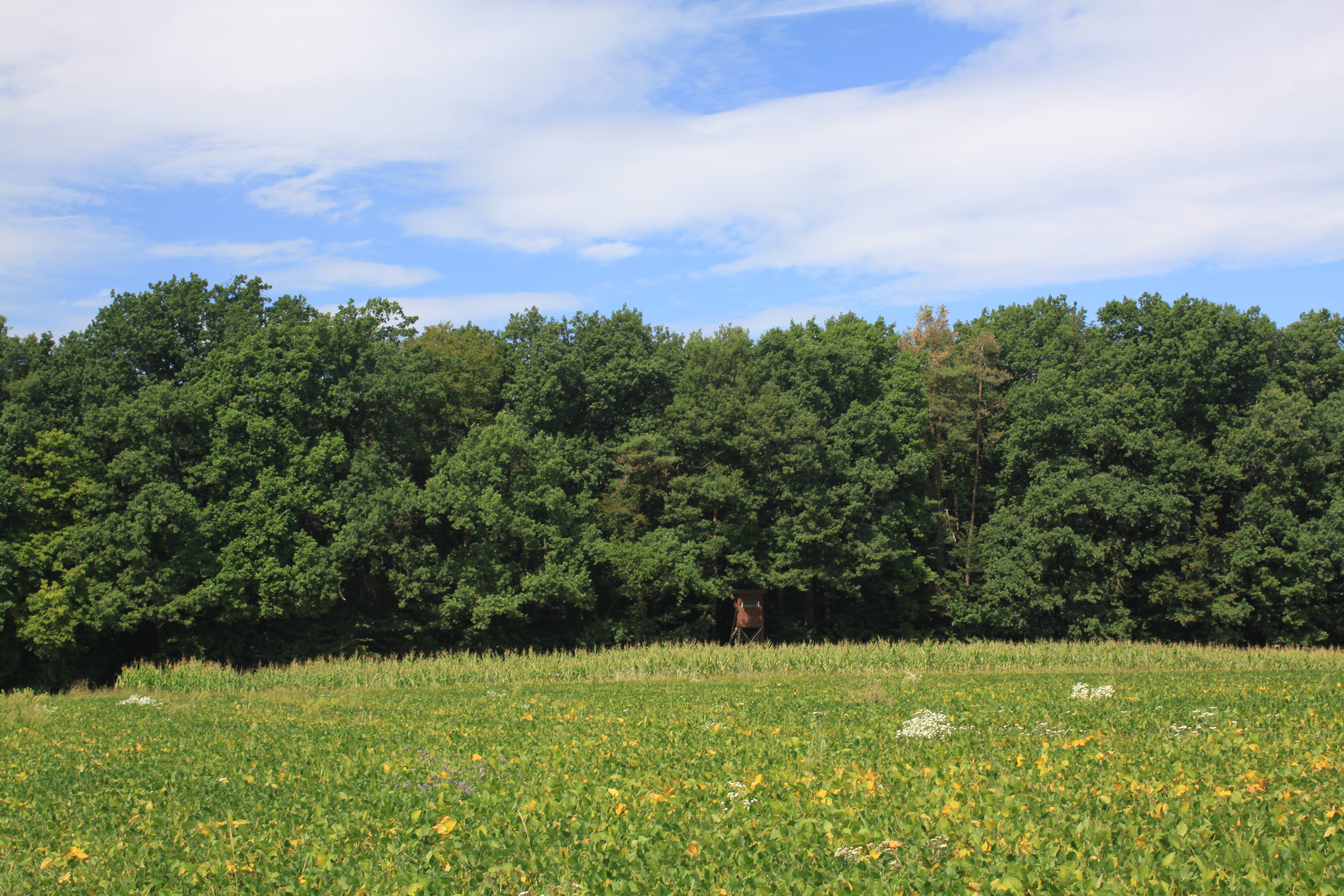 03092013160140 1963 lebensraum 1114 0 035