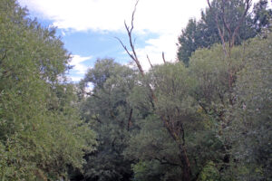 03092013160515 1964 lebensraum 1112 0 378 kopie