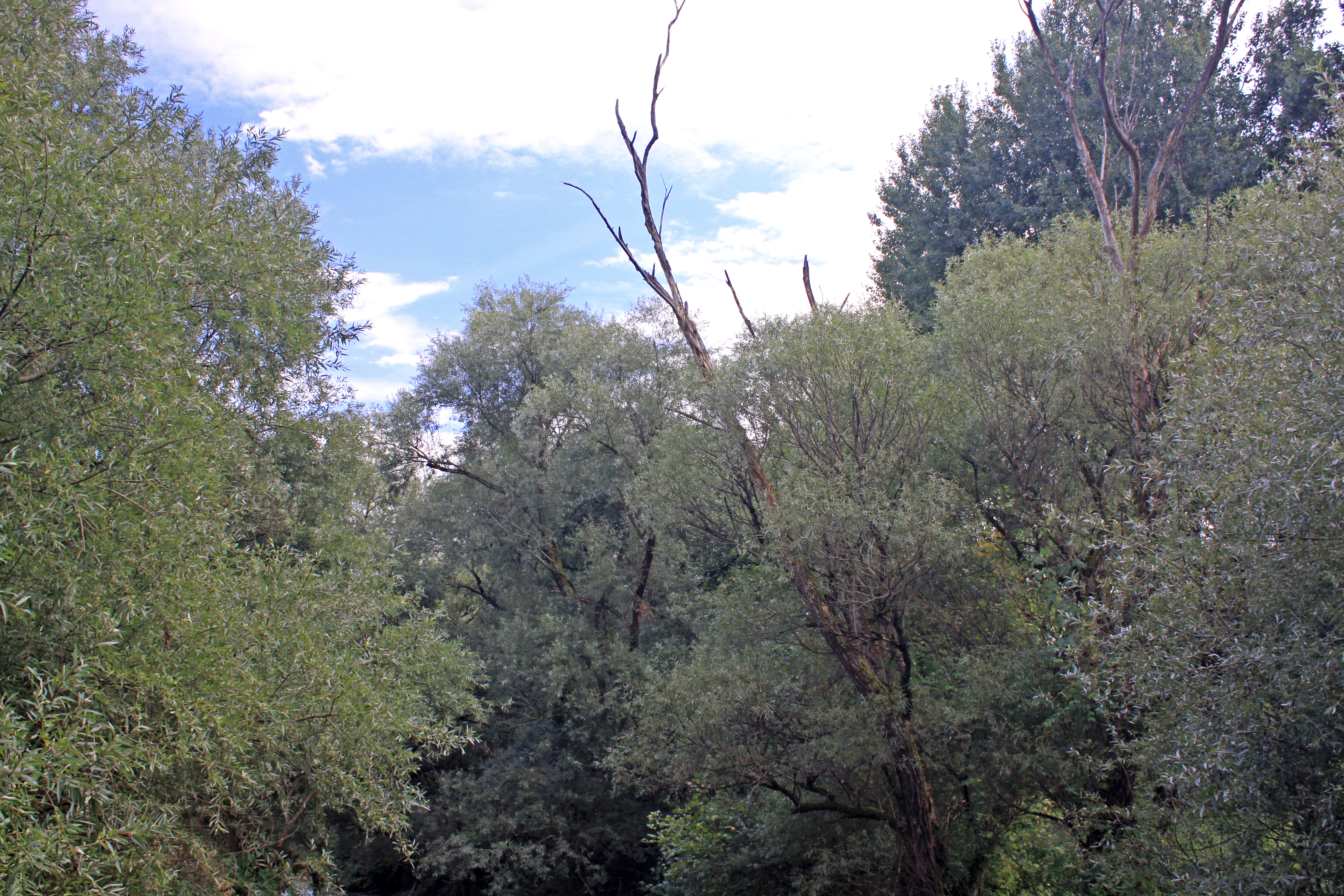 03092013160515 1964 lebensraum 1112 0 378 kopie