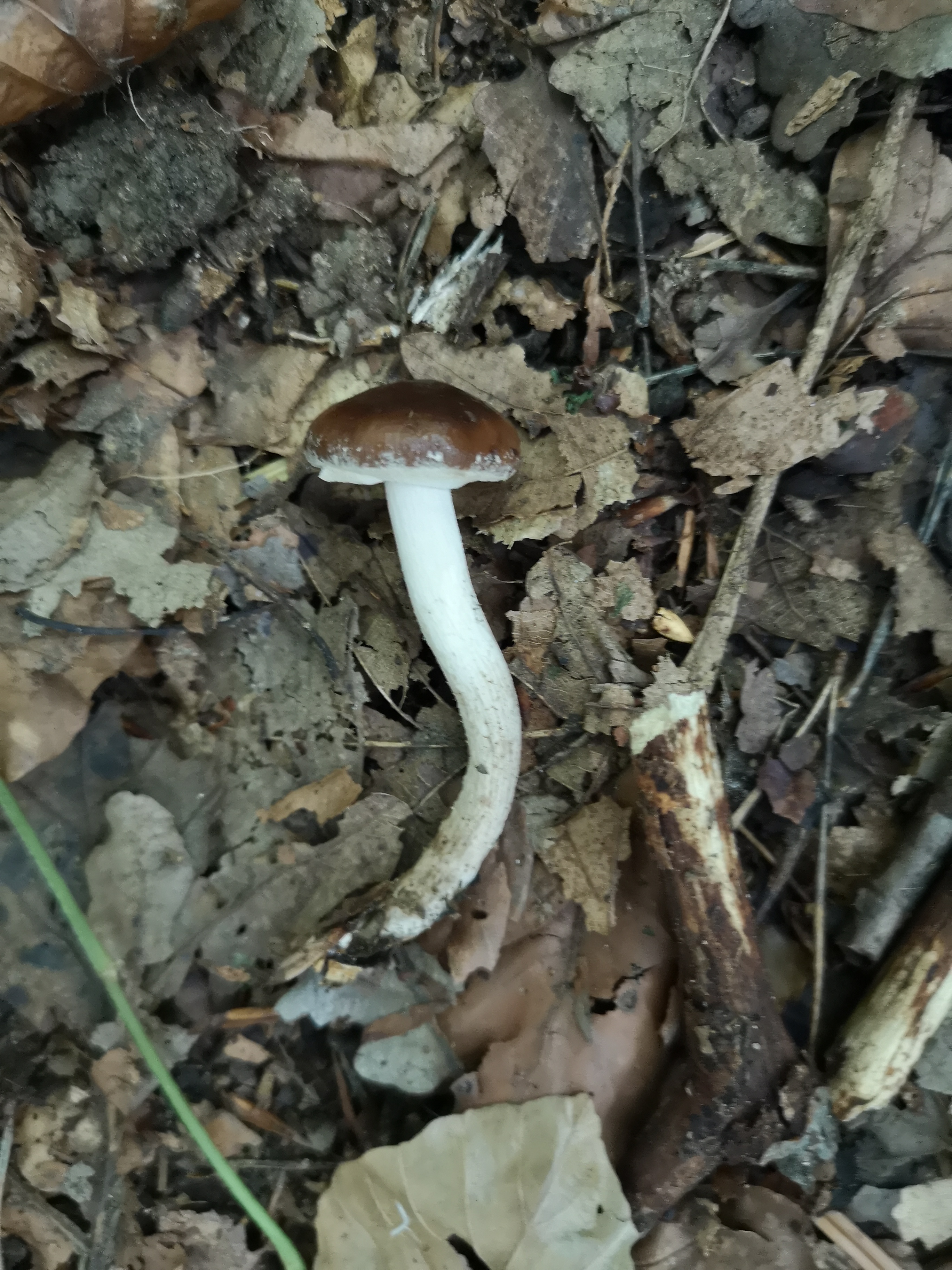 03102019091049 3866 art 2290 img 20190927 104300