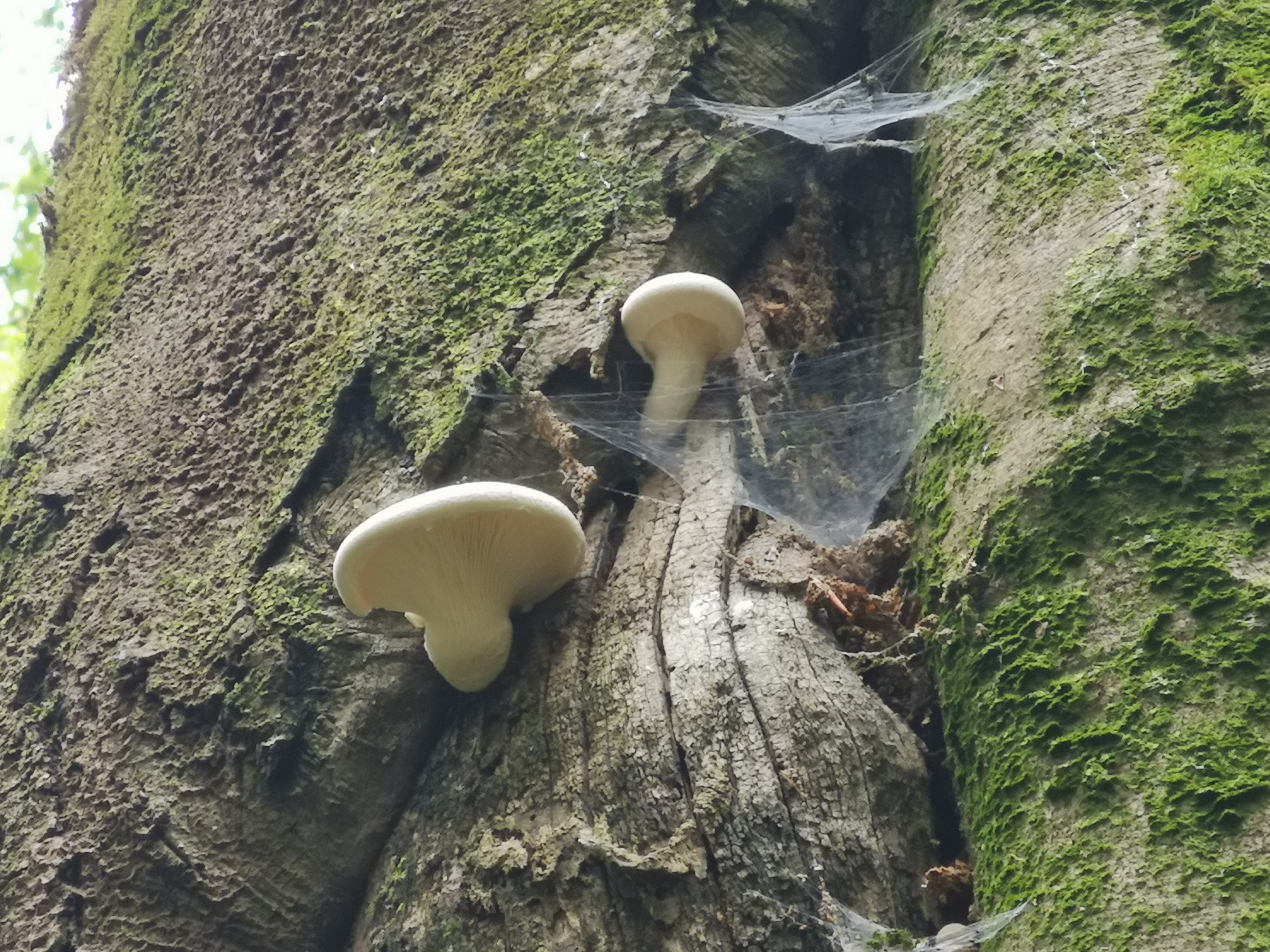 03102019091416 3867 art 804 img 20190926 144343