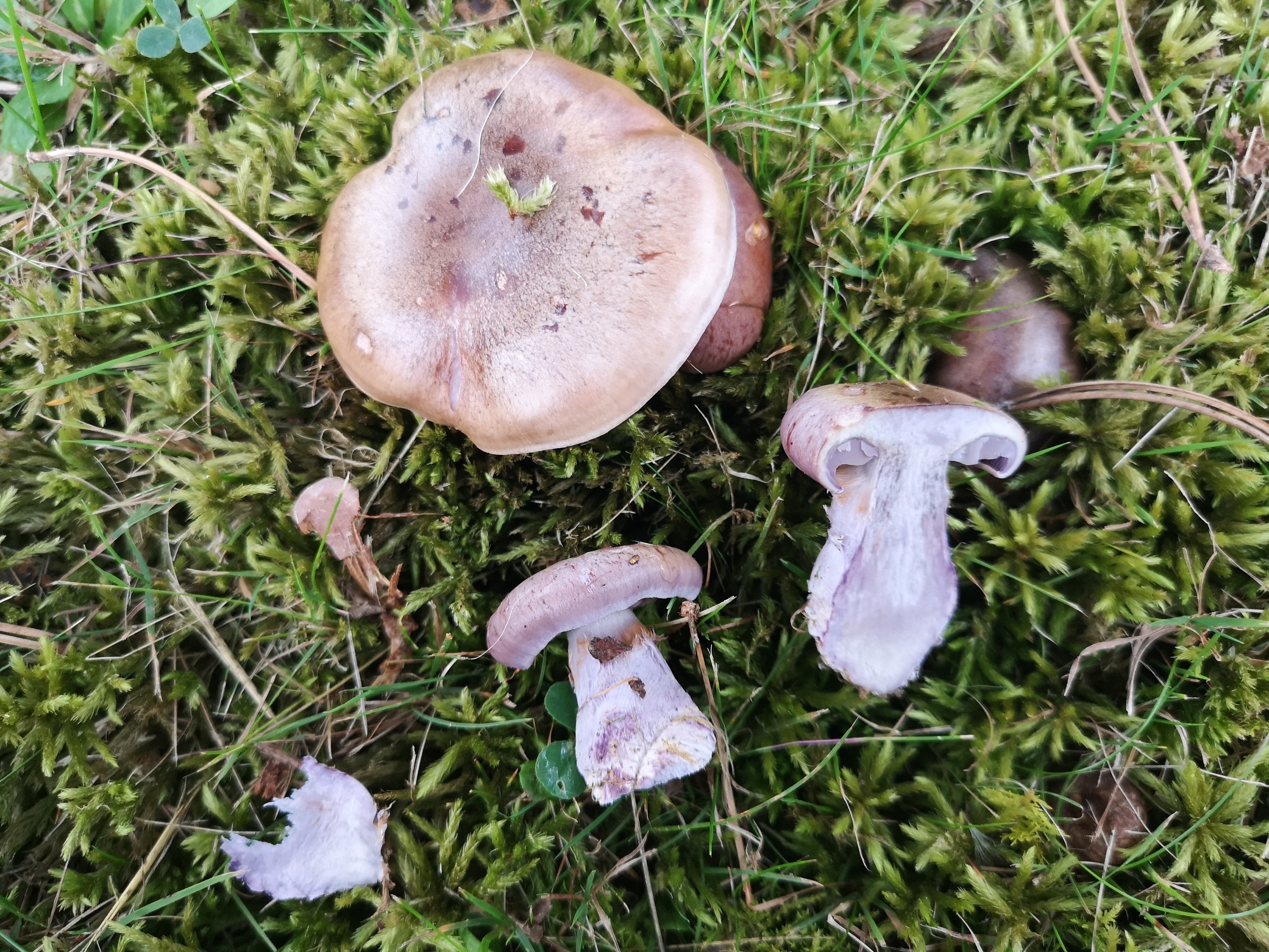 03102019093534 3869 art 2293 img 20190925 170859