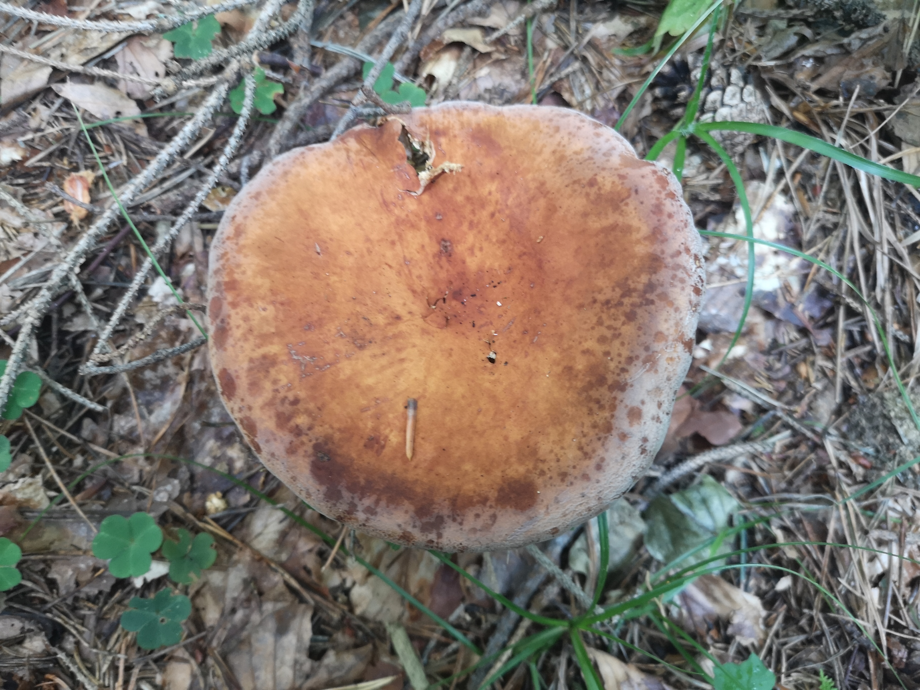 03102019100016 3874 art 2295 img 20190924 094800