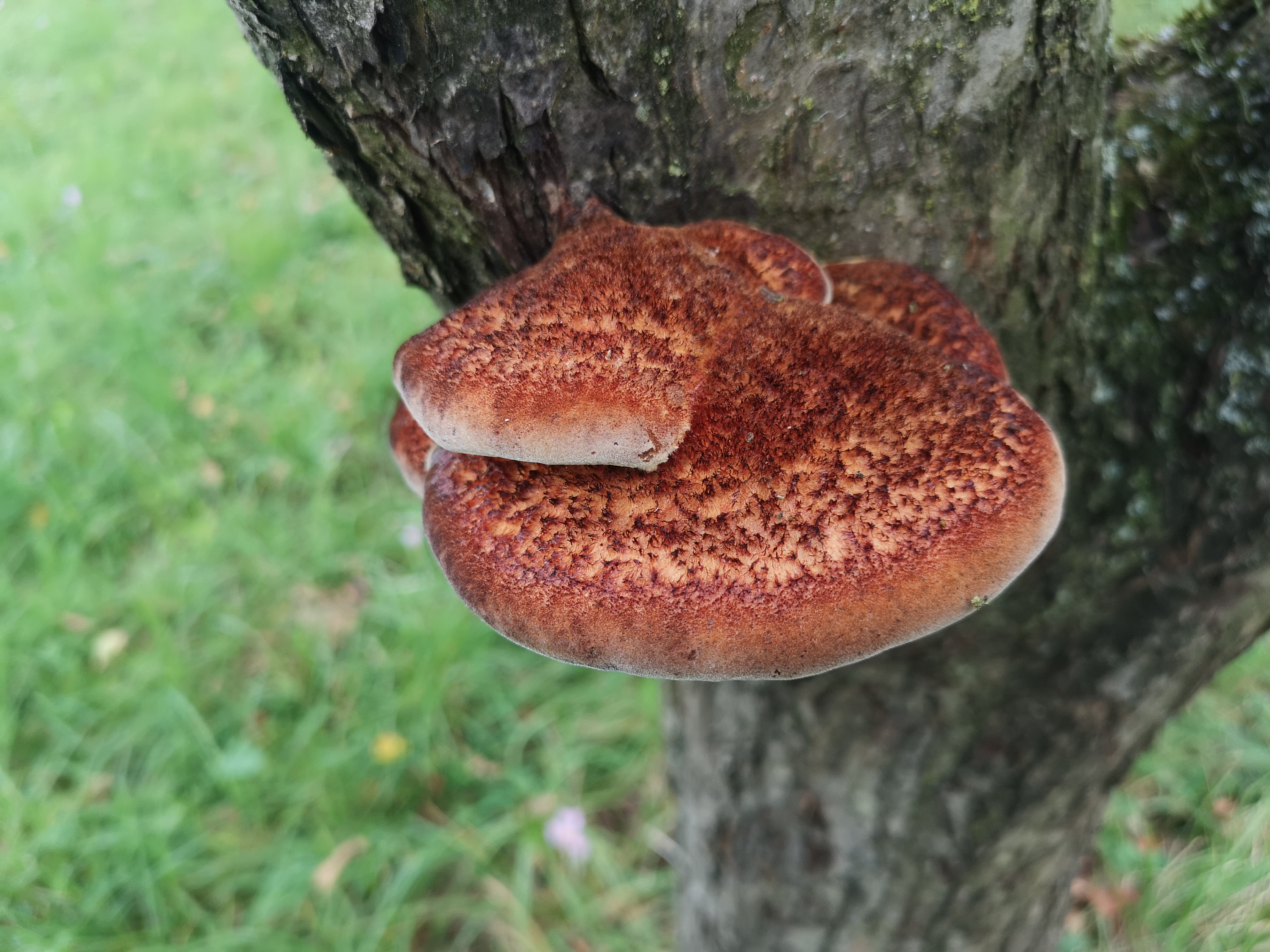 03102019100528 3876 art 1767 img 20190923 161819