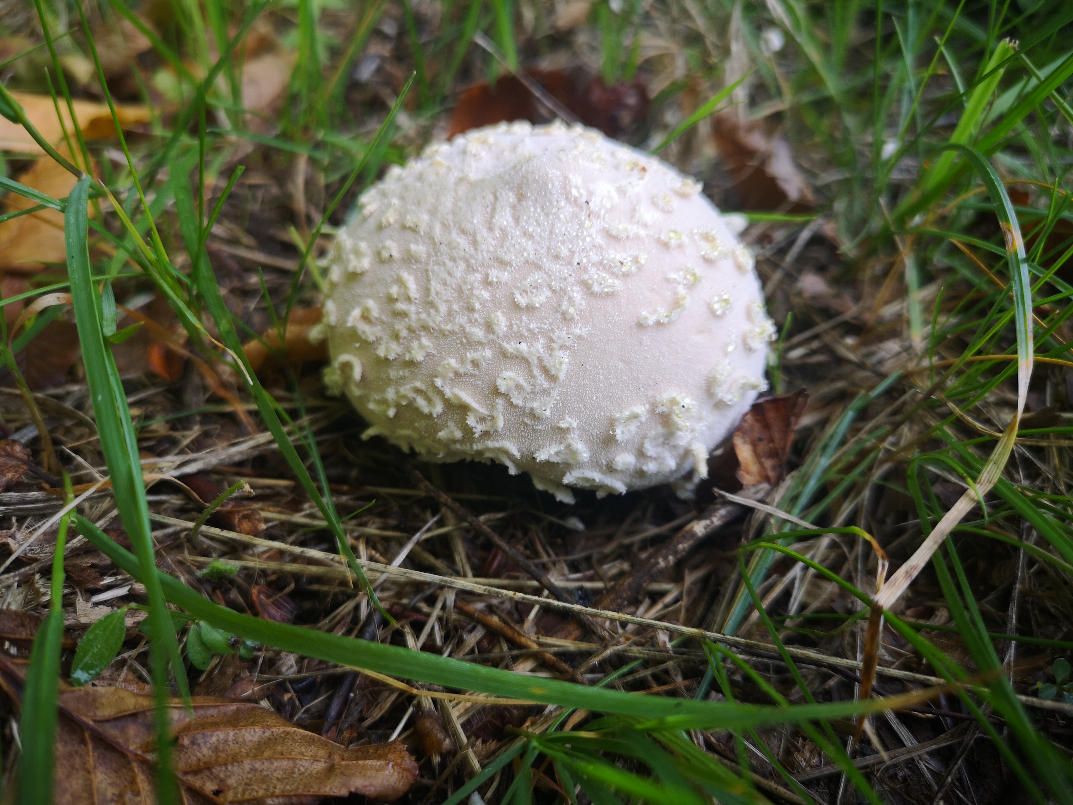 03102019100725 3877 art 1851 img 20190922 094834