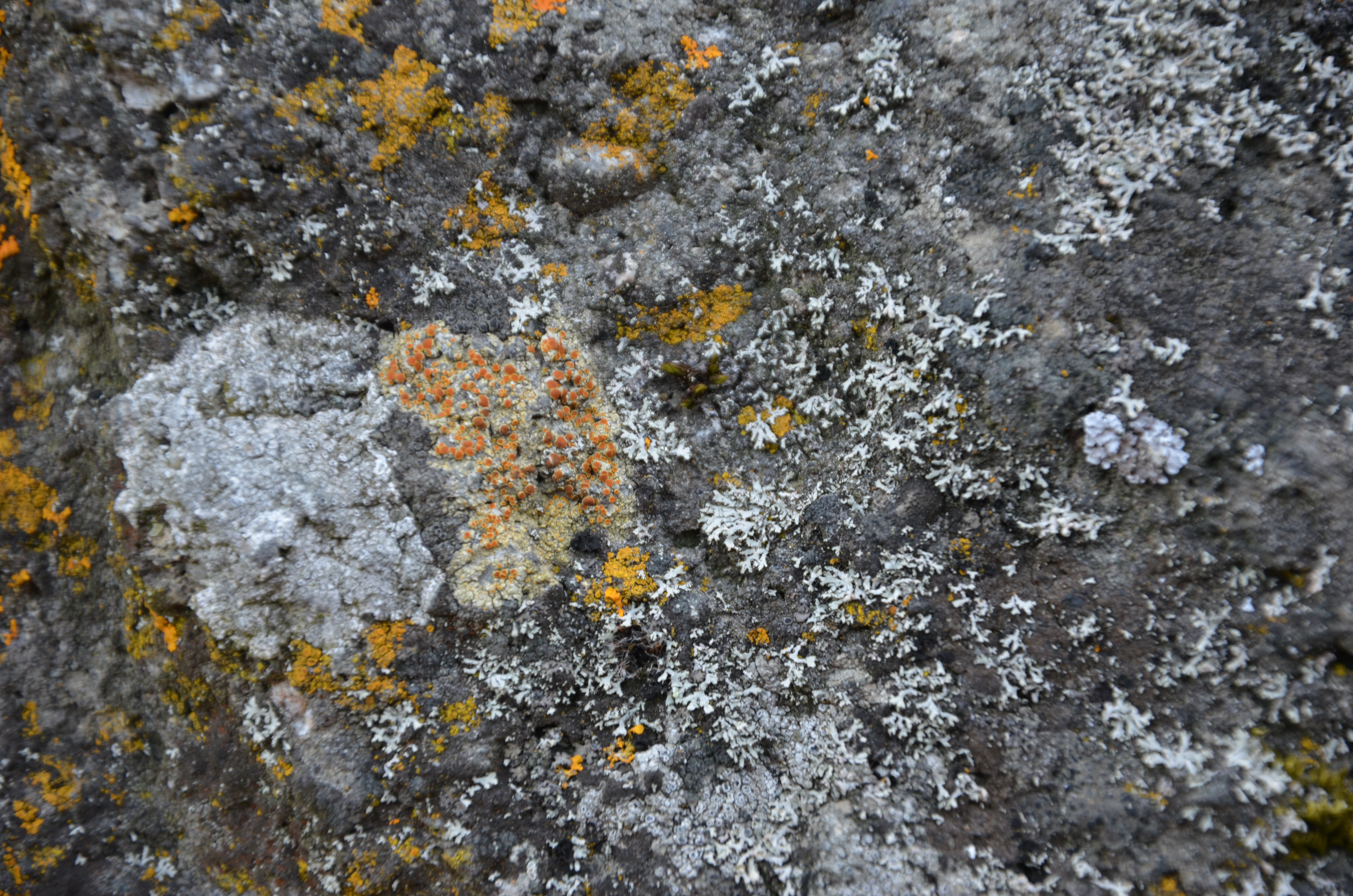 04062013001815 902 art 457 dsc 5125