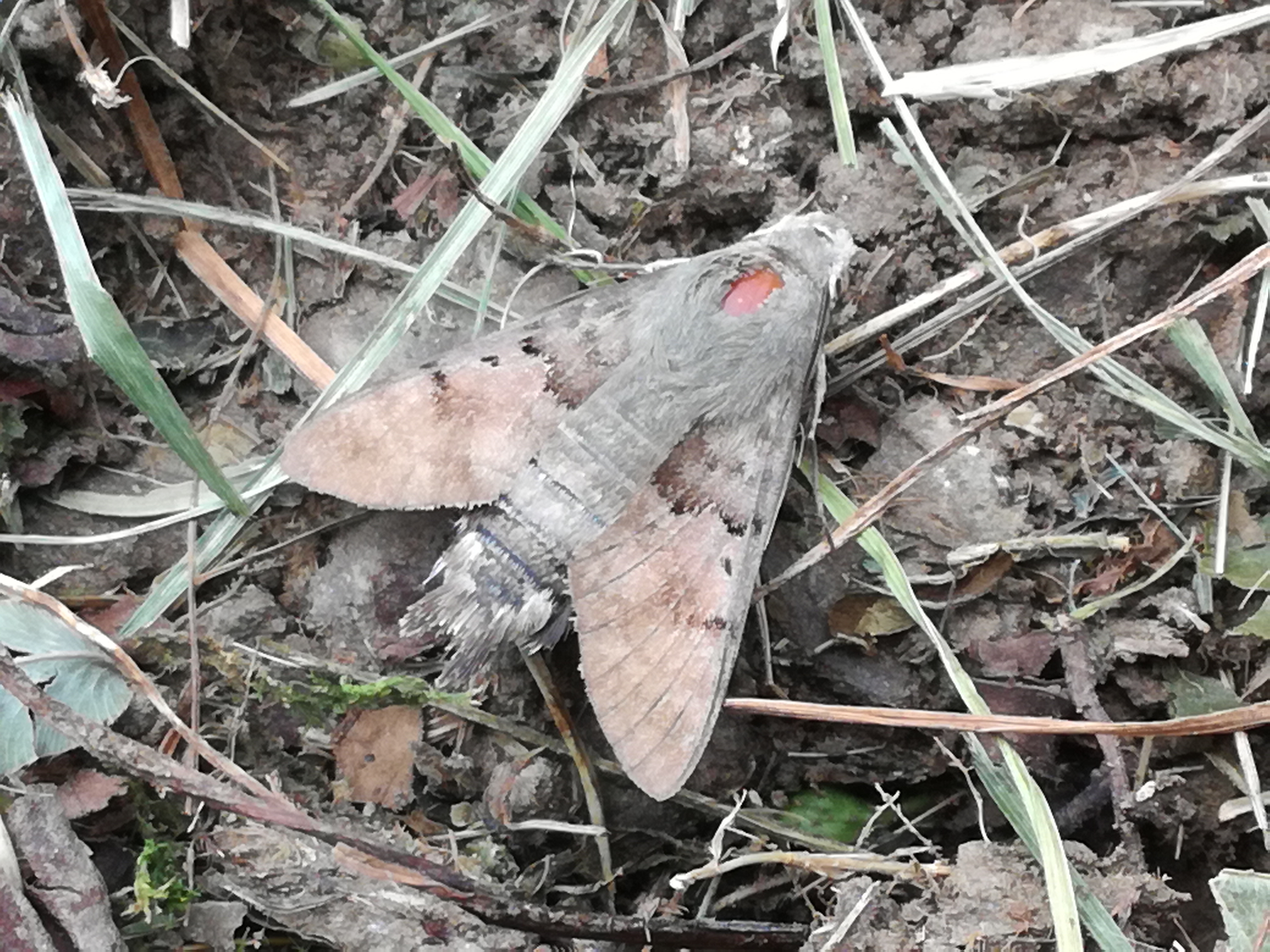 05072018112734 3800 art 618 img 20180702 132140 1